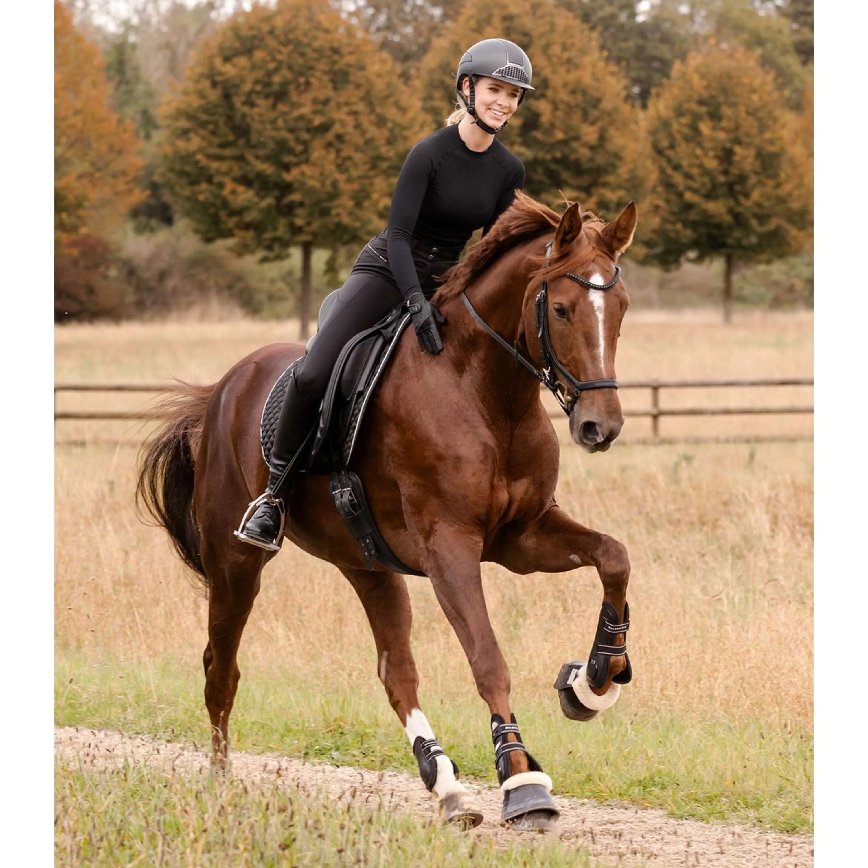 Waldhausen Tapis de Selle Felix Glam Dressage Noir - Image 3