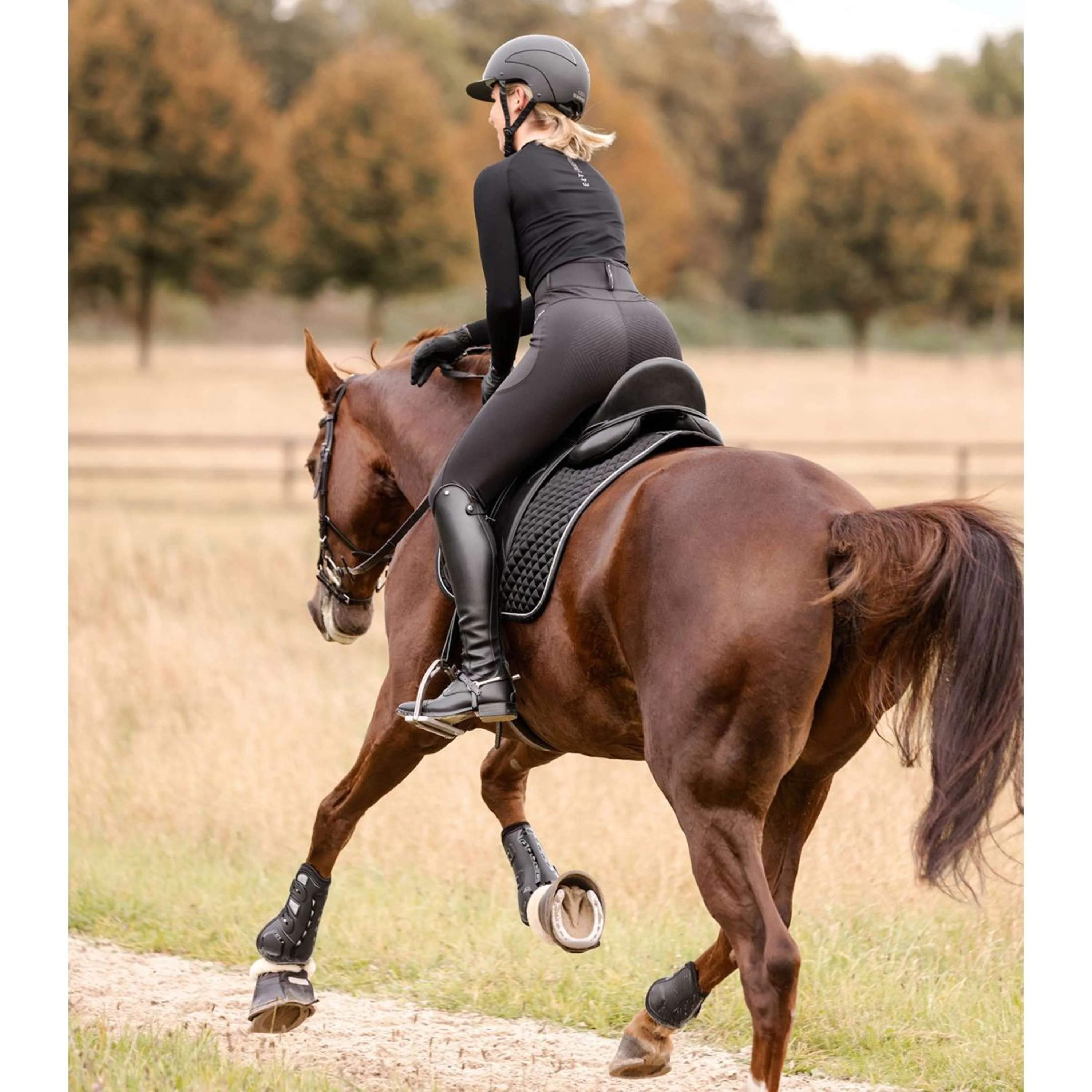 Waldhausen Tapis de Selle Felix Glam Dressage Noir - Image 4