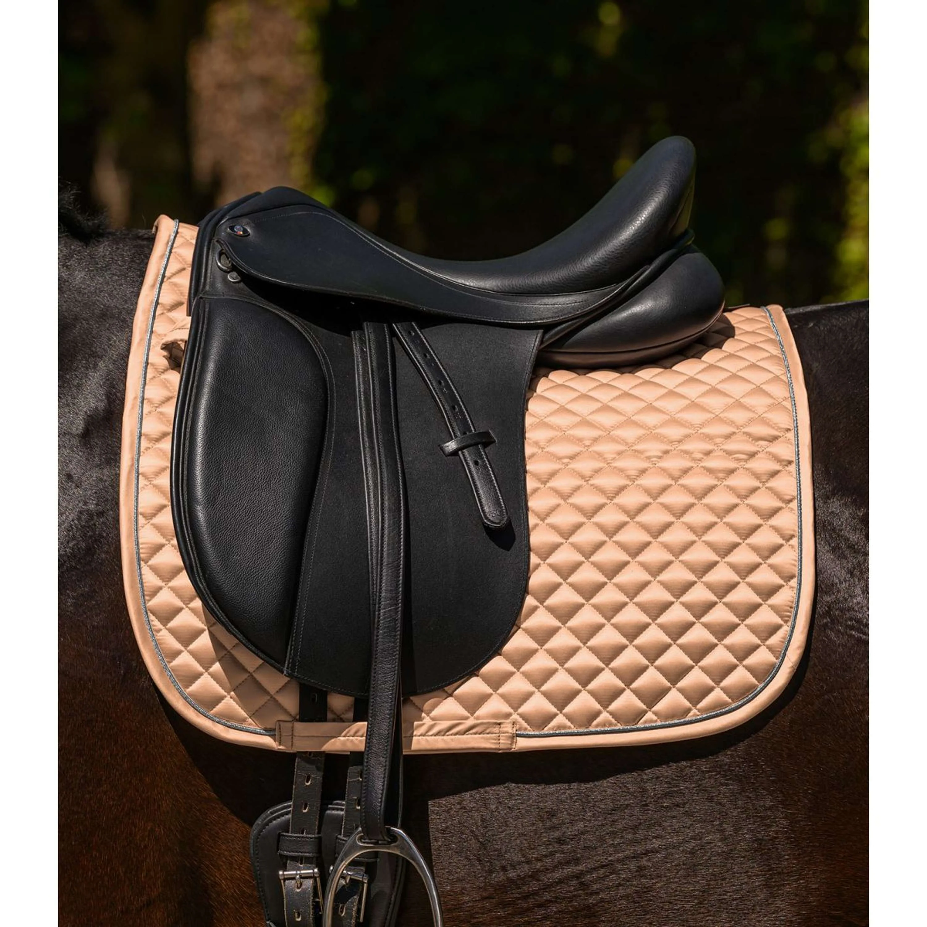 Waldhausen Tapis de Selle Felix Glam Dressage Pêche - Image 2