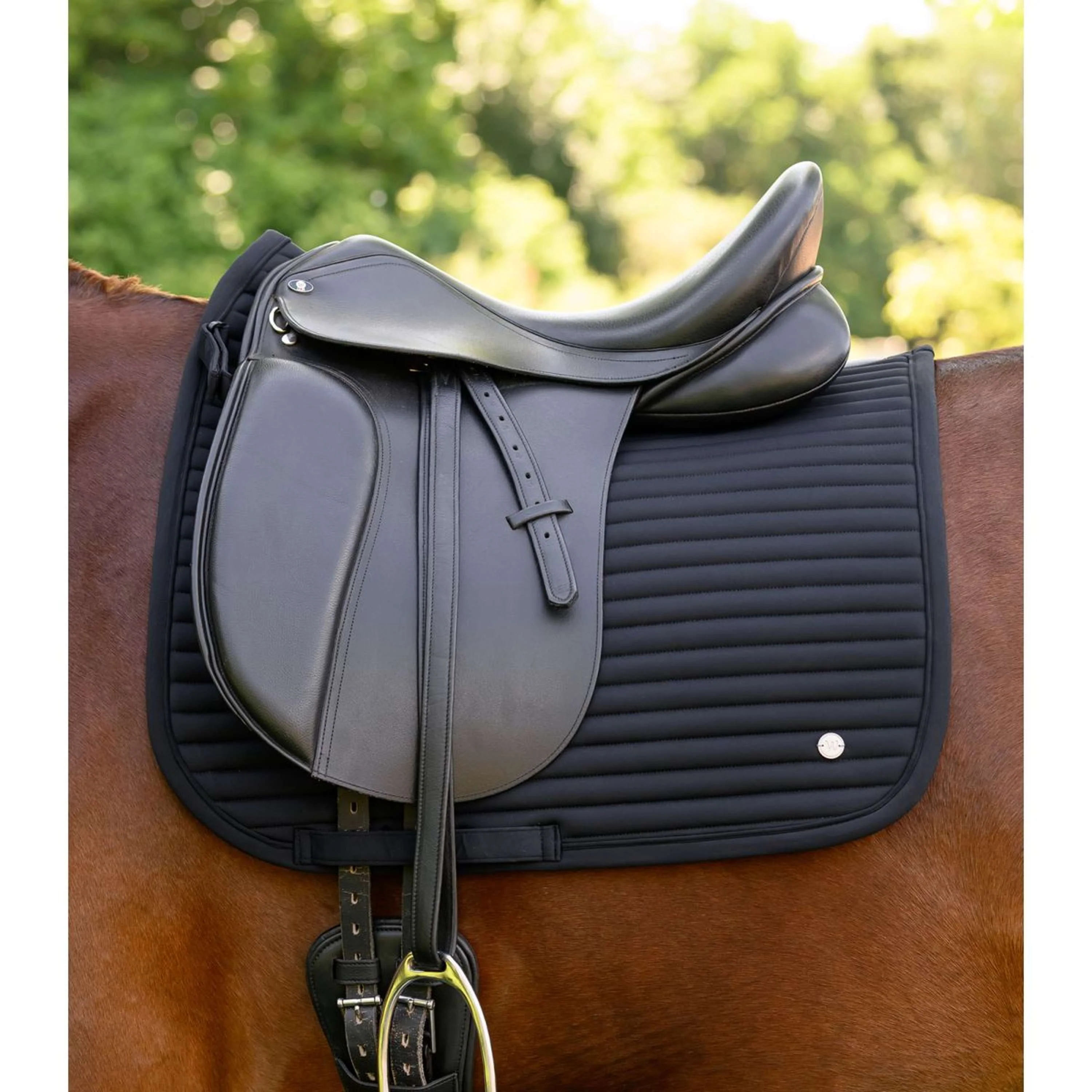 Waldhausen Tapis de Selle Trinidad Dressage Noir - Image 2