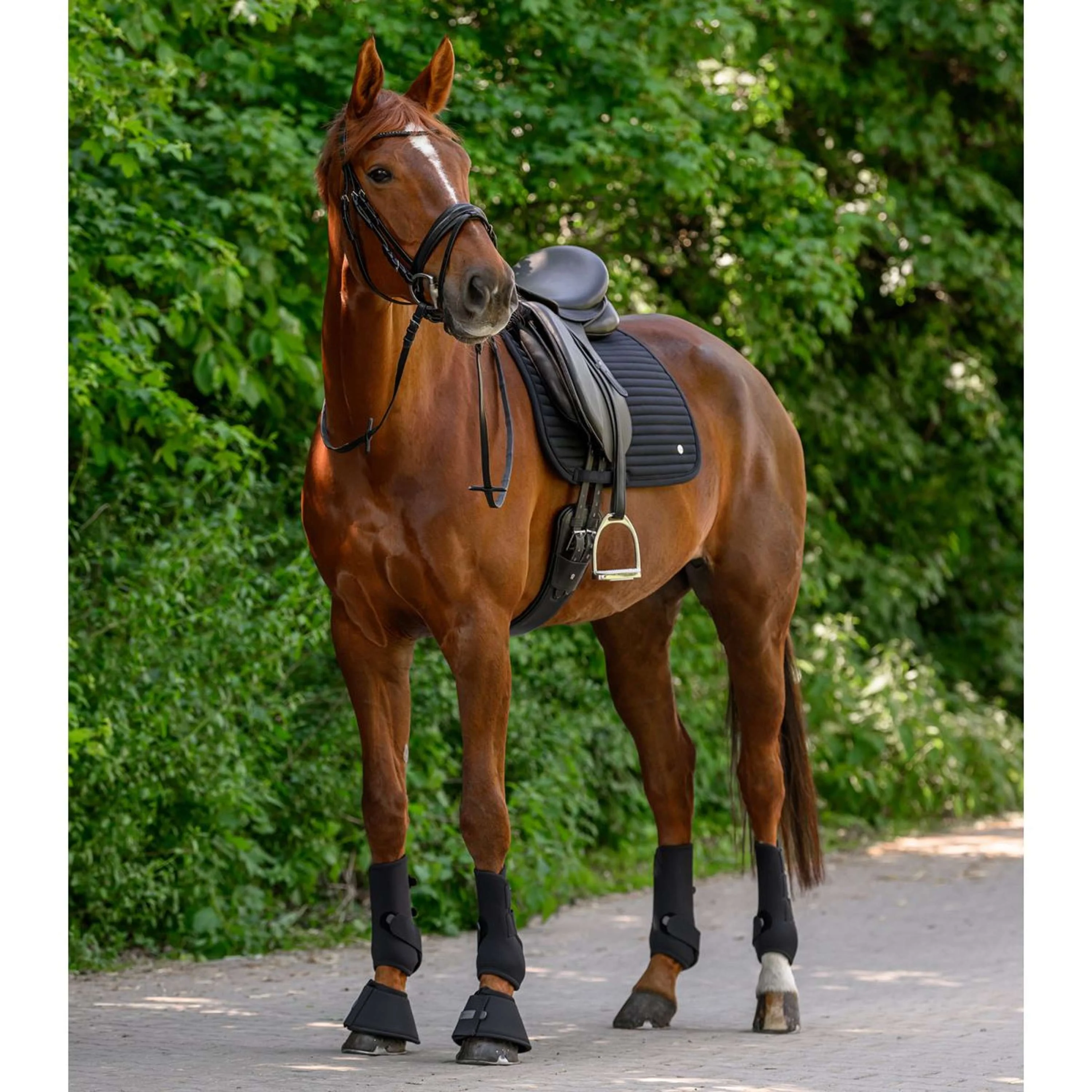Waldhausen Tapis de Selle Trinidad Dressage Noir - Image 6