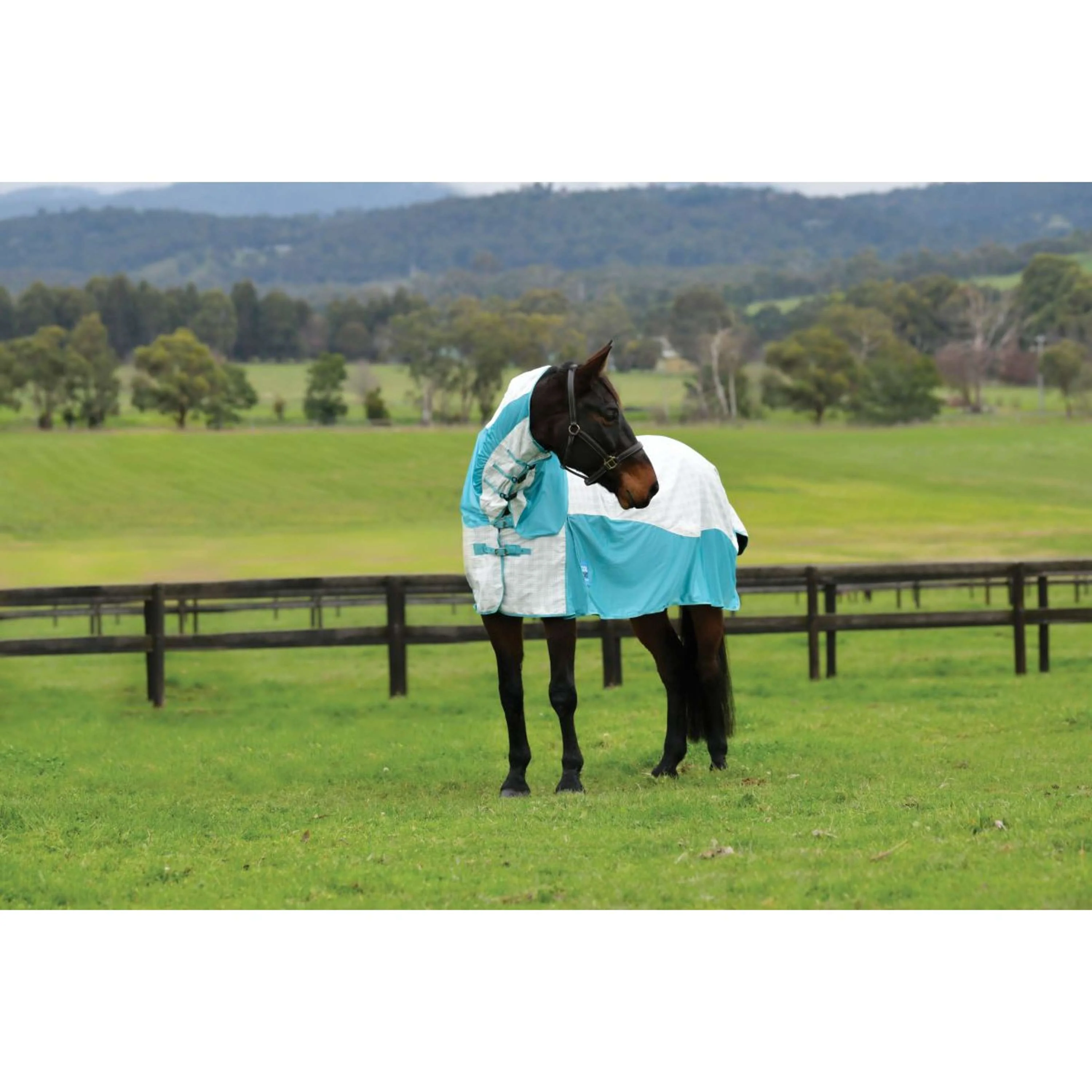 WeatherBeeta Chemise Rafraîchissante Cotton Airstream II Detach-A-Neck - Image 2