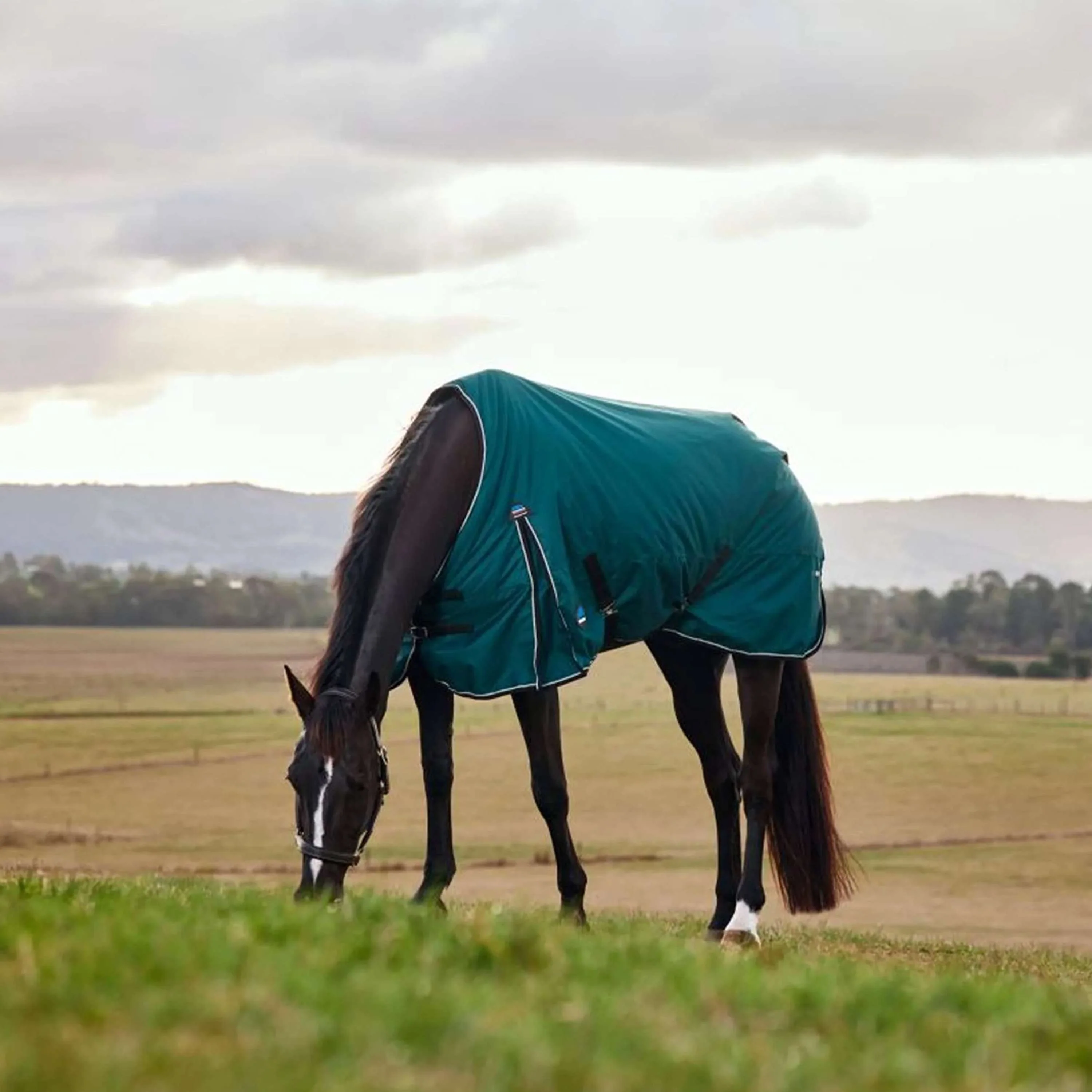 WeatherBeeta ComFiTec Classic Turnout 50g Forest Green/Black - Image 4