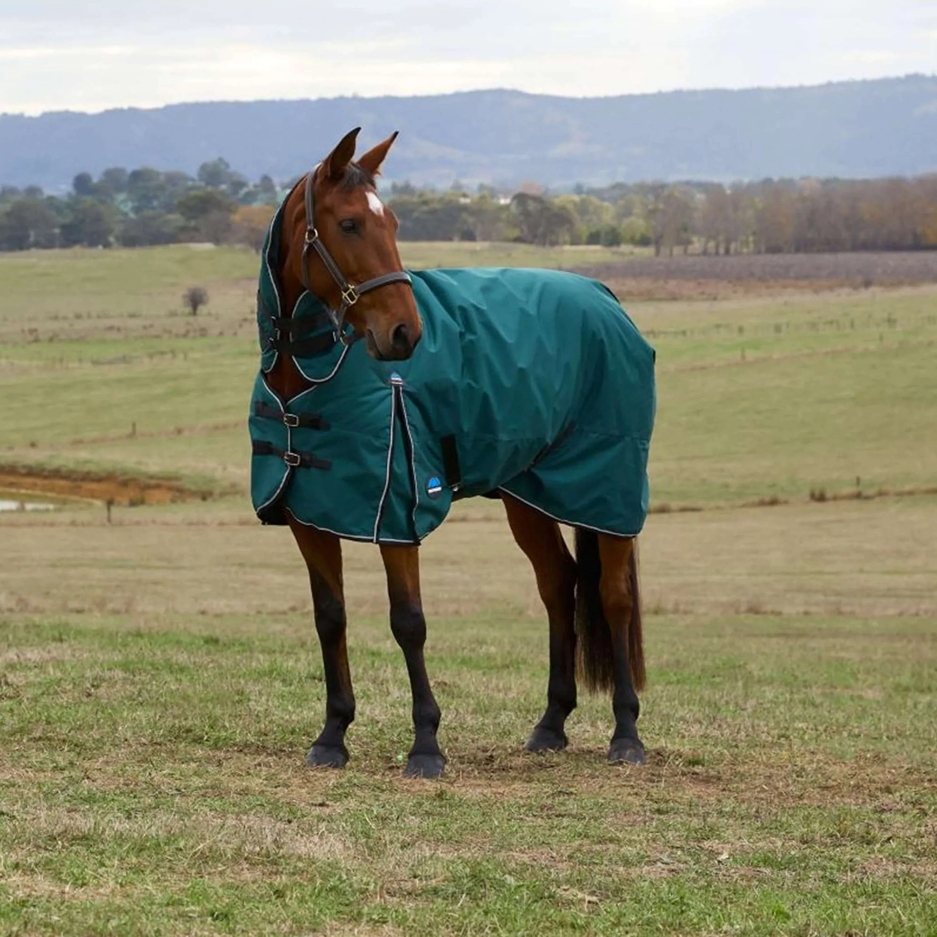 WeatherBeeta ComFiTec Classic Turnout Combo 360g Forest Green/Black - Image 2
