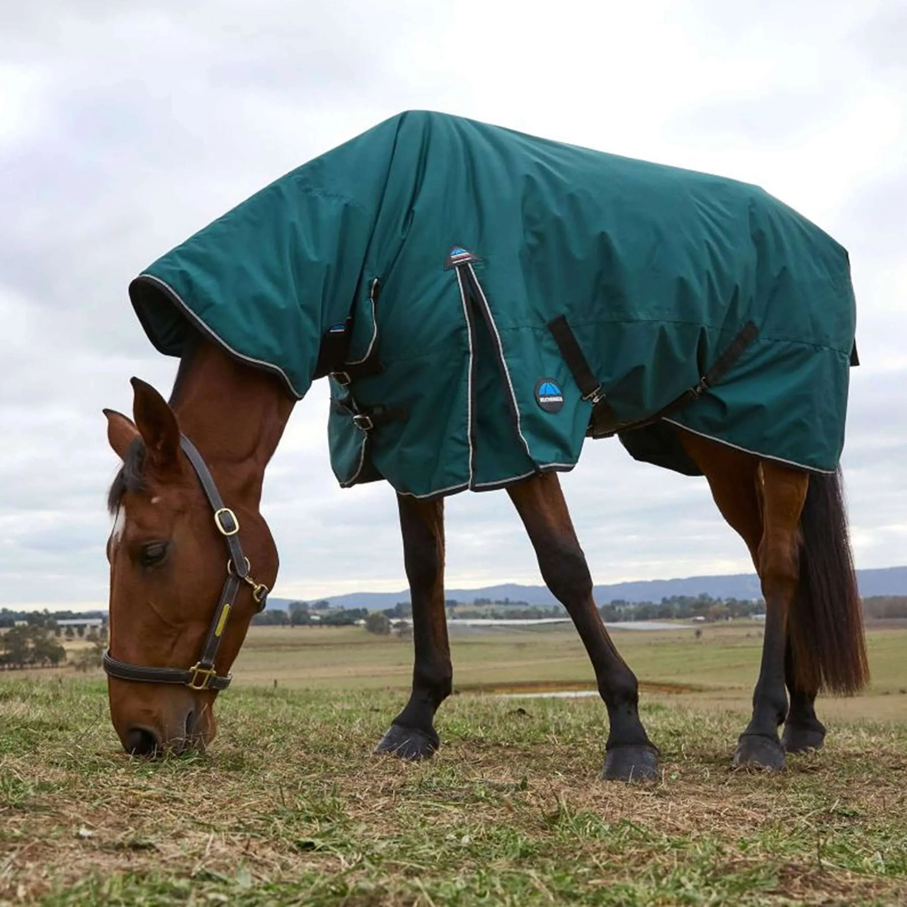 WeatherBeeta ComFiTec Classic Turnout Combo 360g Forest Green/Black - Image 3