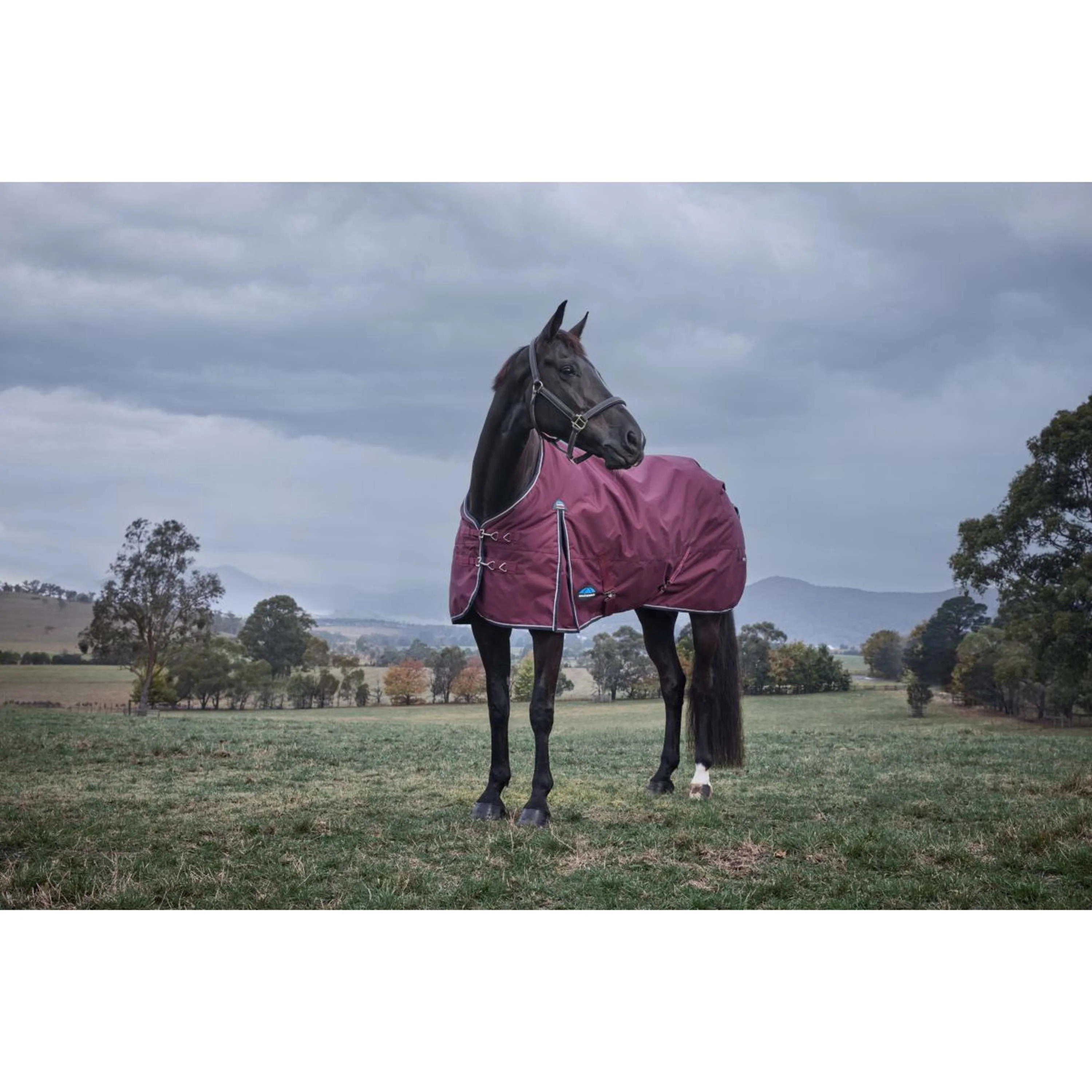 WeatherBeeta ComFiTec Essential Turnout 220g Bourgogne/Marine - Image 2