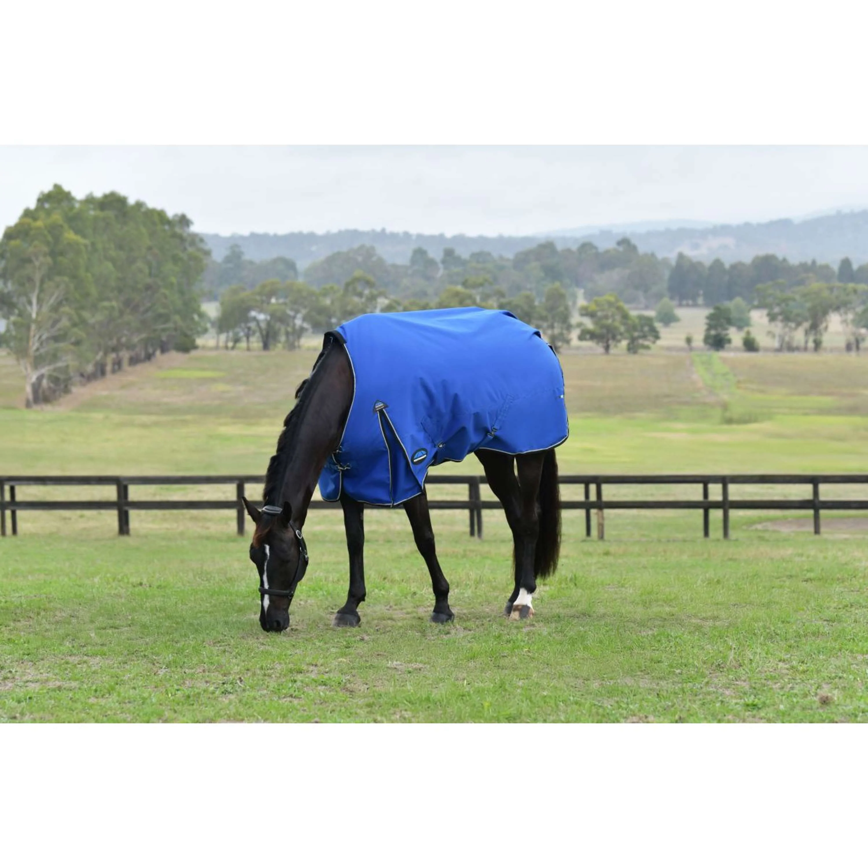 WeatherBeeta ComFiTec Essential Turnout 220g Cobalt/Noir - Image 2