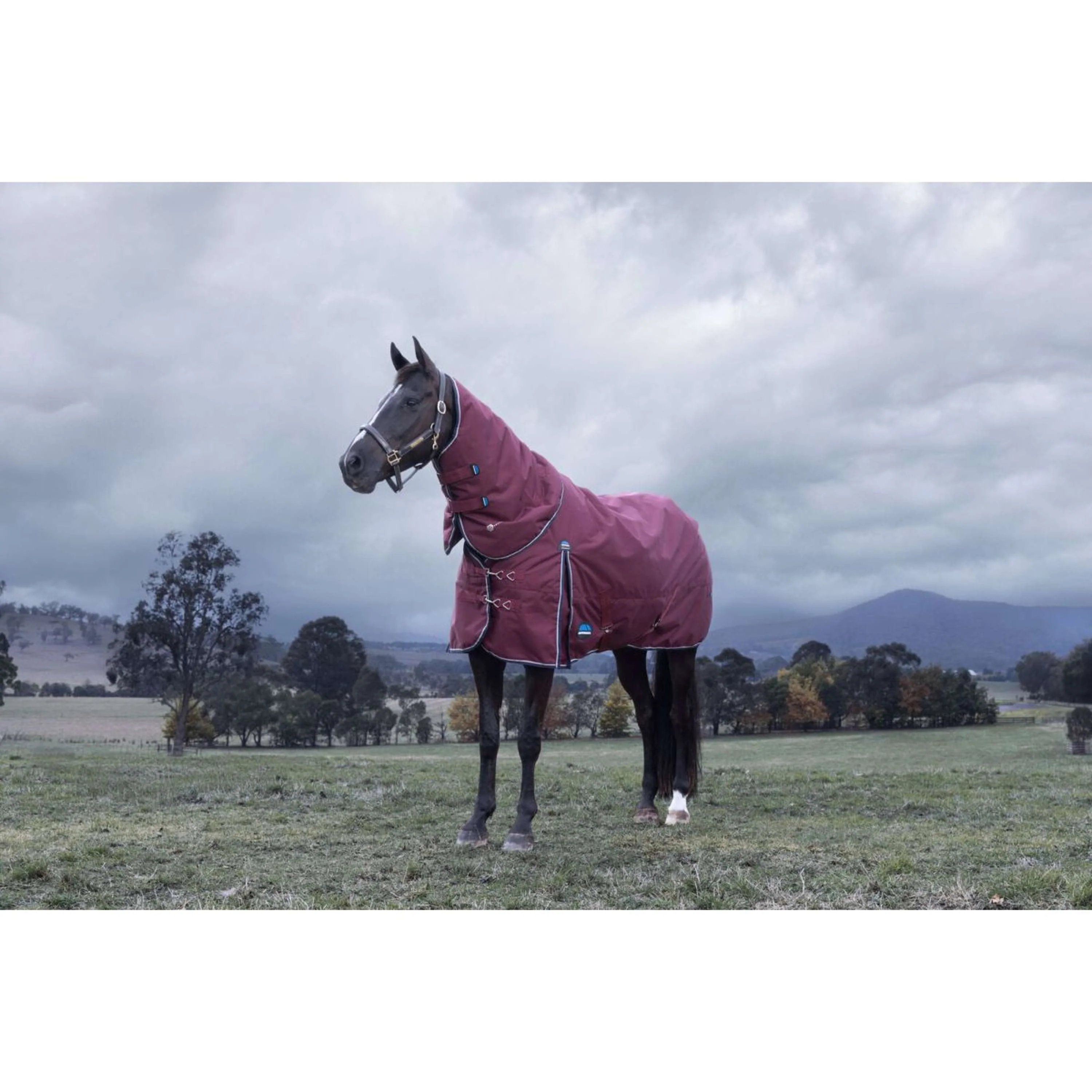 WeatherBeeta ComFiTec Essential Turnout Detach-A-Neck 220g Bourgogne/Marine - Image 2