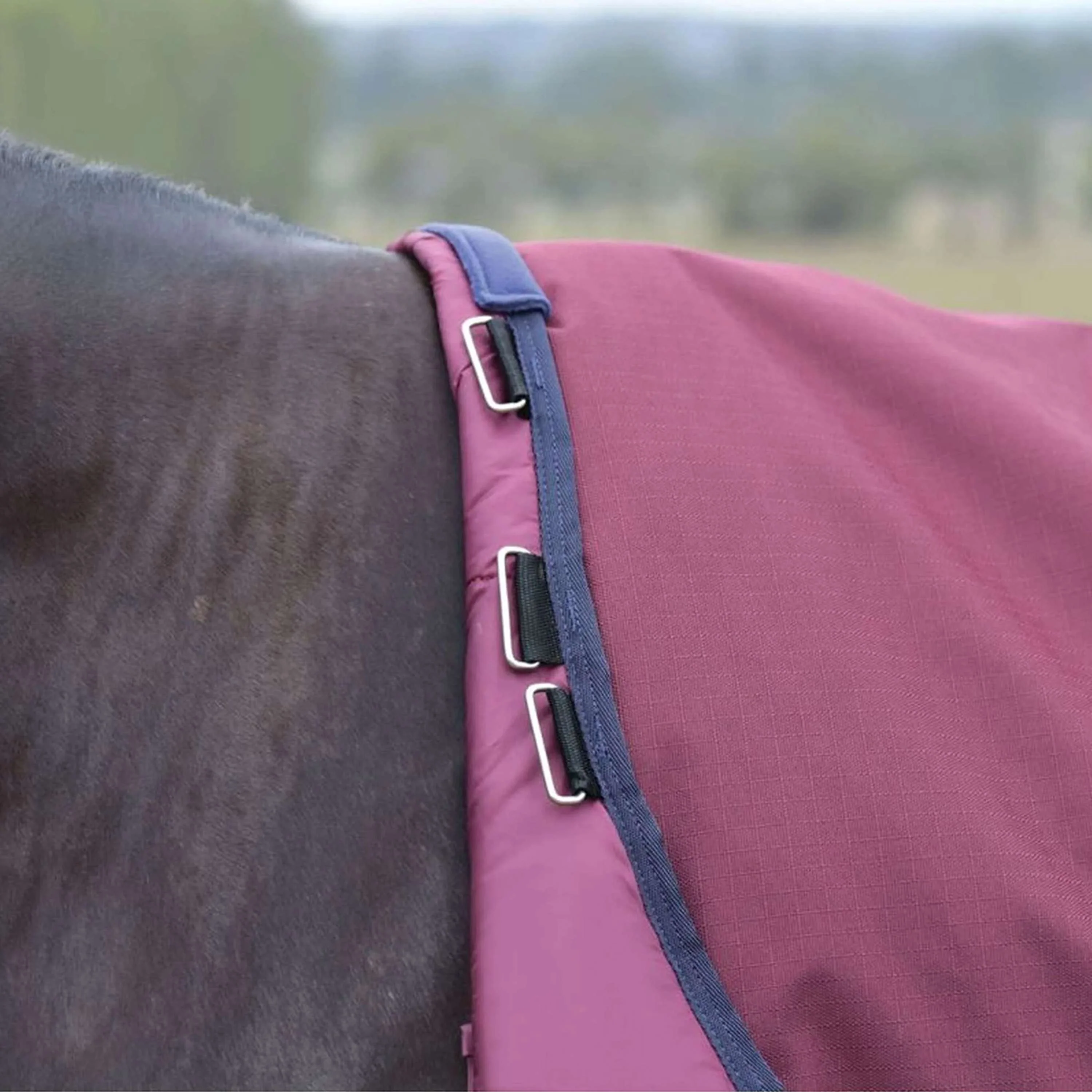 WeatherBeeta ComFiTec Essential Turnout Detach-A-Neck 50g Bourgogne/Marine - Image 5