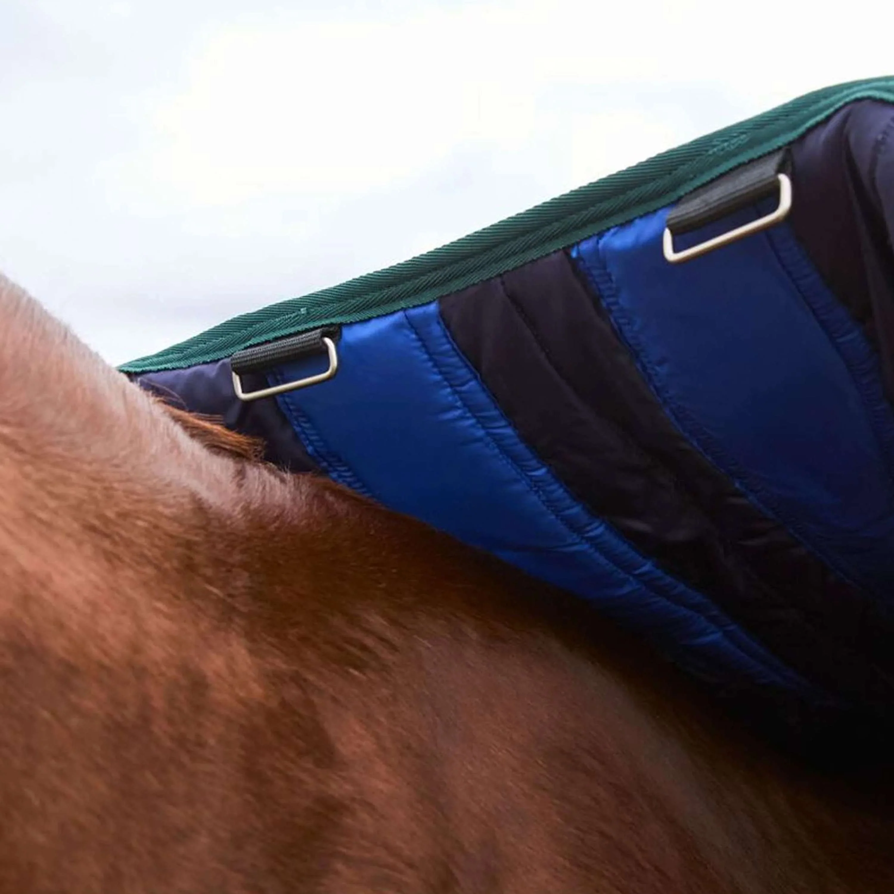 WeatherBeeta ComFiTec Plus Dynamic Turnout 100g Navy/Forest Green - Image 5
