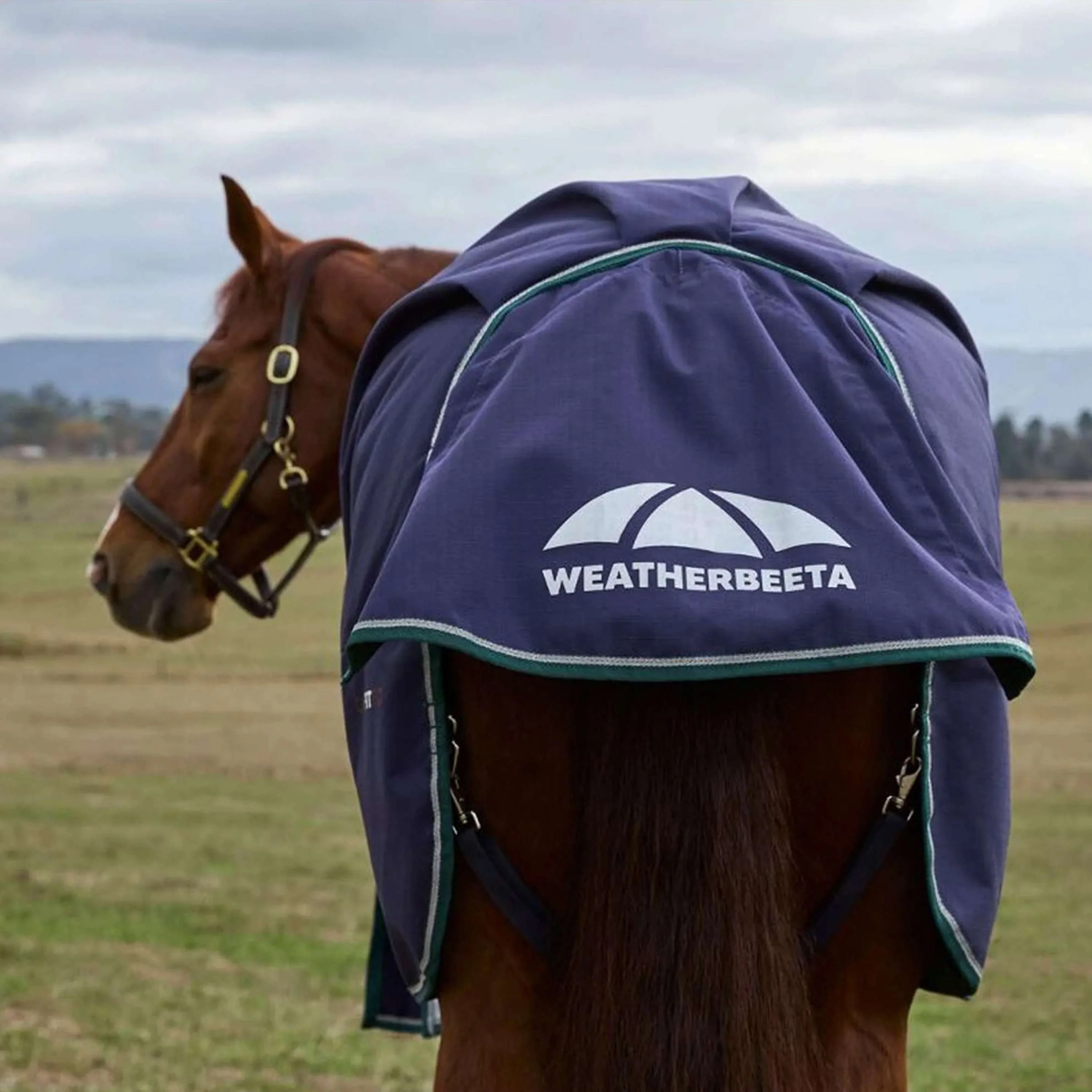 WeatherBeeta ComFiTec Plus Dynamic Turnout 100g Navy/Forest Green - Image 8