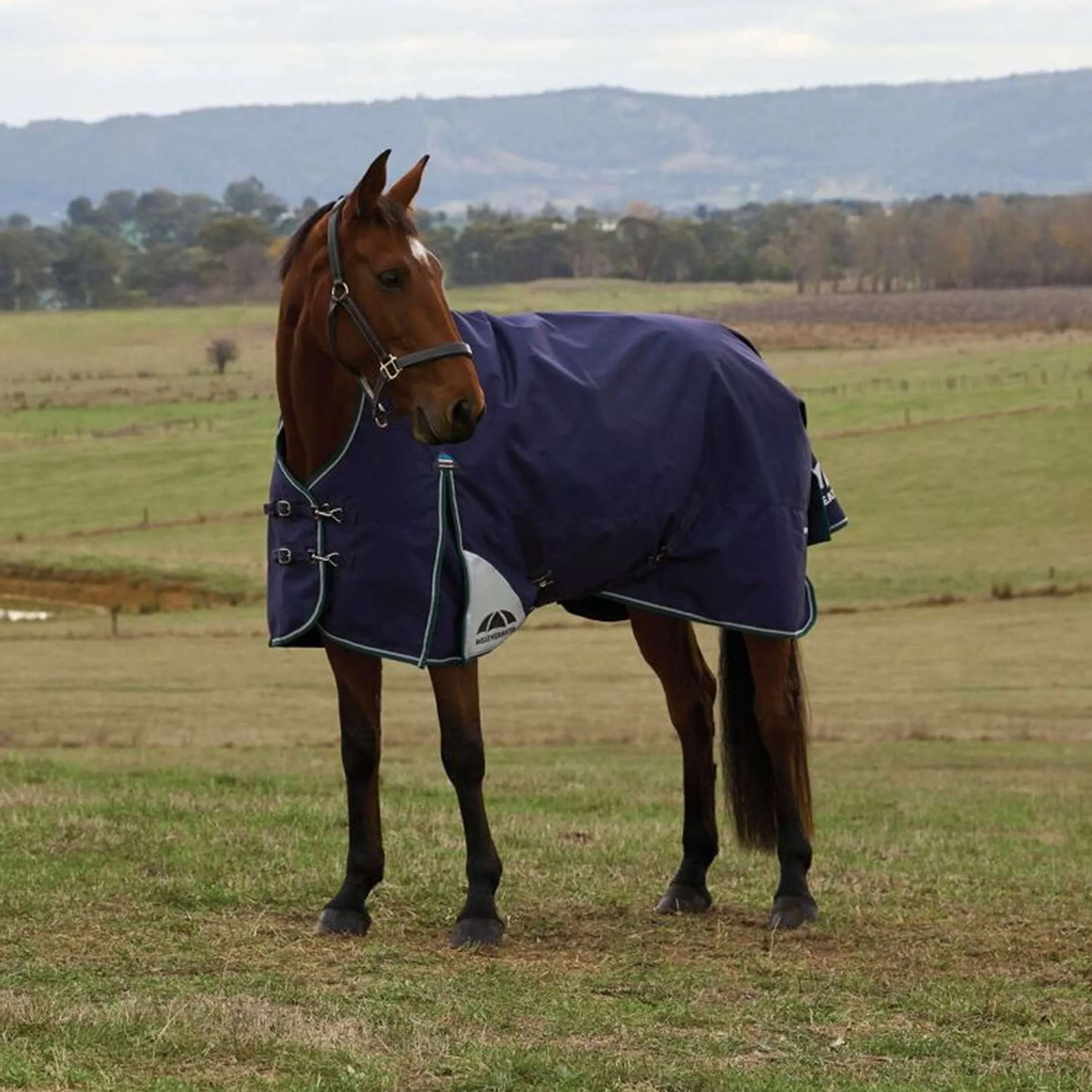 WeatherBeeta ComFiTec Plus Dynamic Turnout High Neck 100g Navy/Forest Green - Image 3