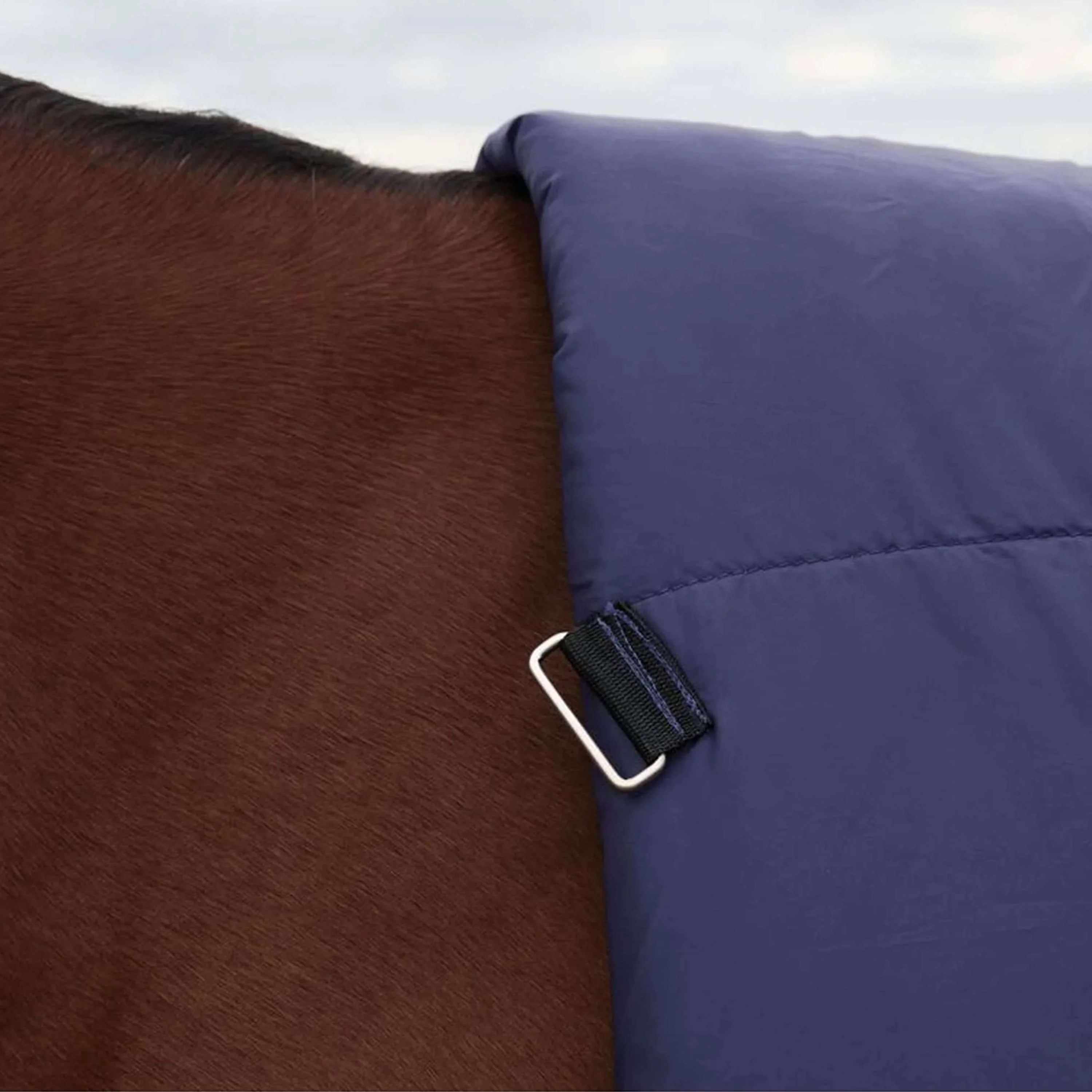 WeatherBeeta ComFiTec Plus Dynamic Turnout High Neck 100g Navy/Forest Green - Image 5