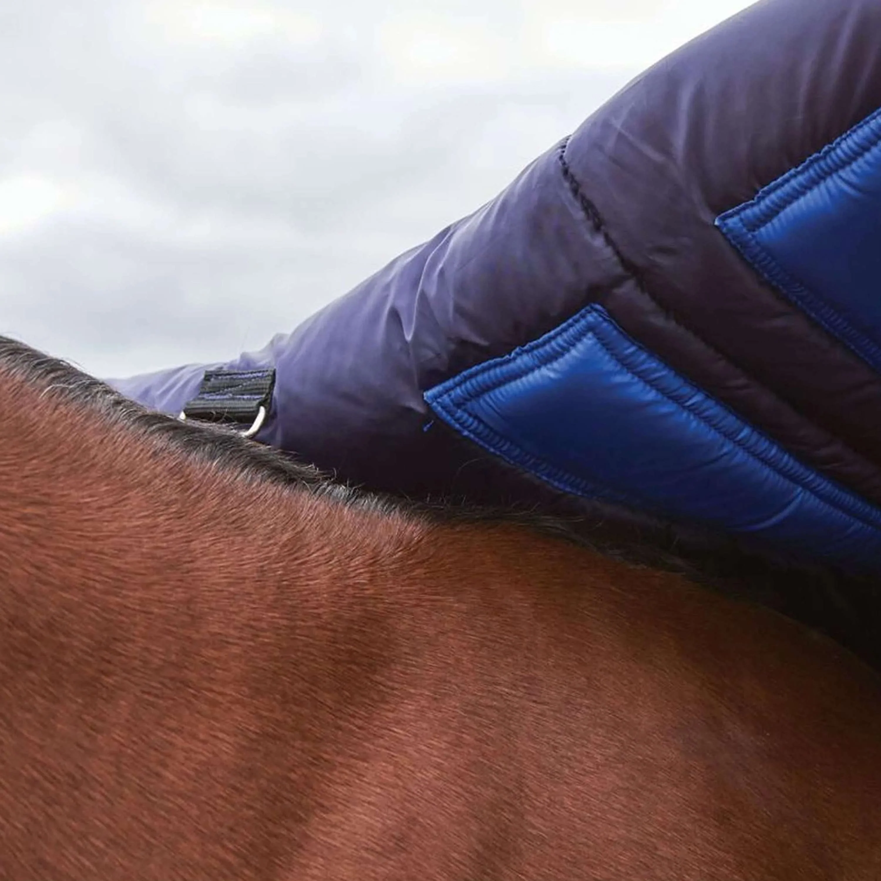 WeatherBeeta ComFiTec Plus Dynamic Turnout High Neck 100g Navy/Forest Green - Image 6
