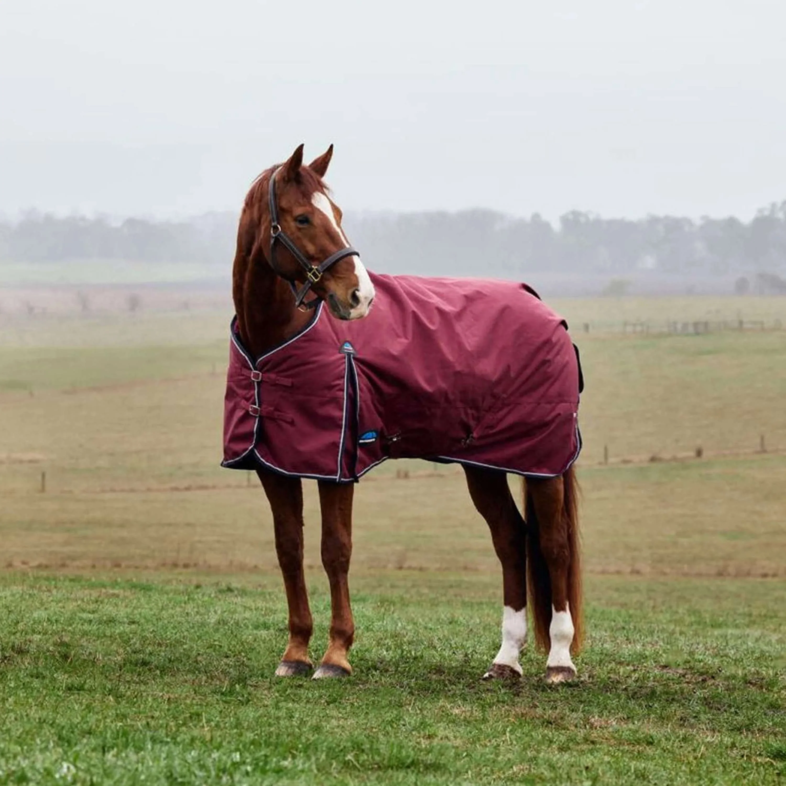 WeatherBeeta ComFiTec Prelim Turnout 0g Bourgogne/Marine - Image 3
