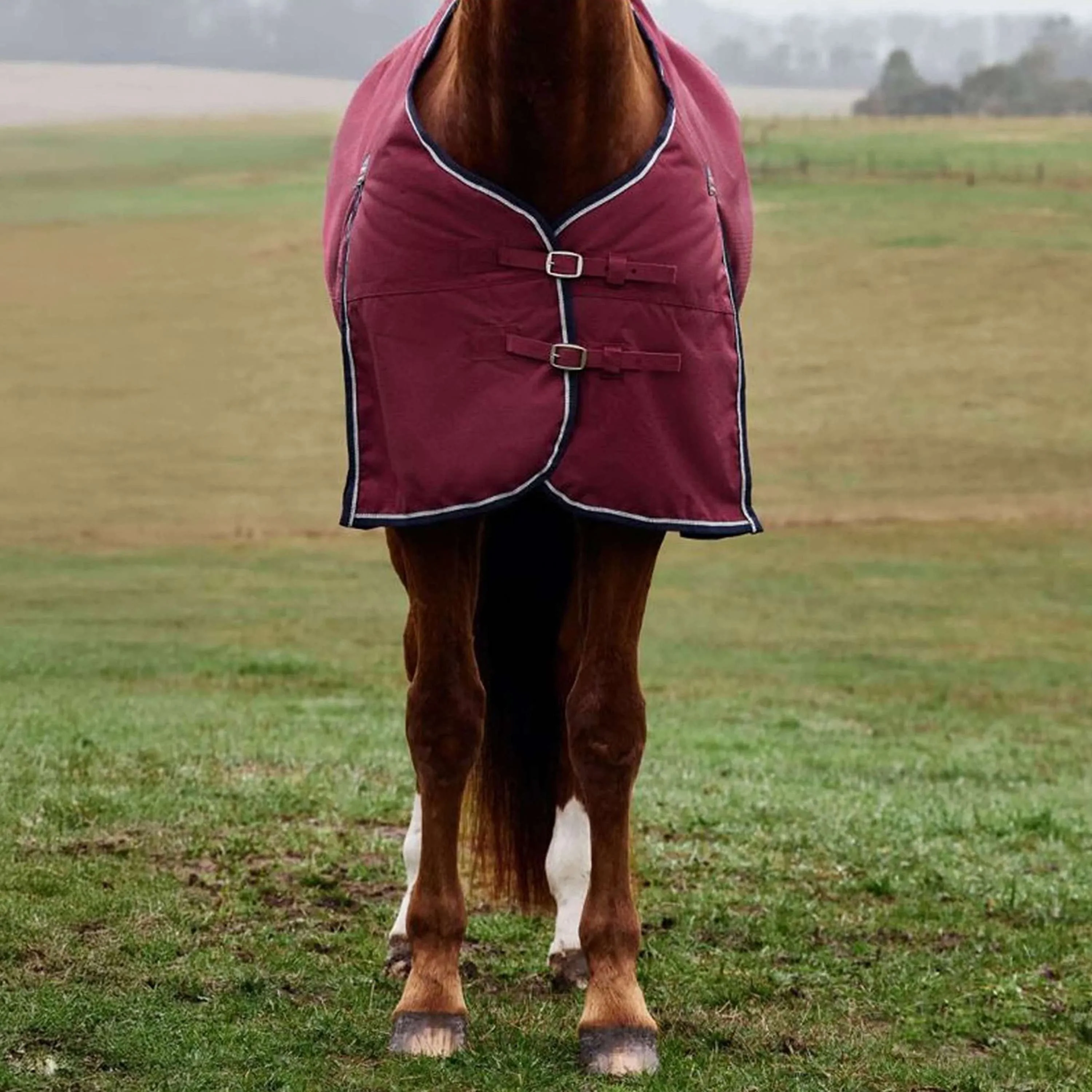 WeatherBeeta ComFiTec Prelim Turnout 0g Bourgogne/Marine - Image 4