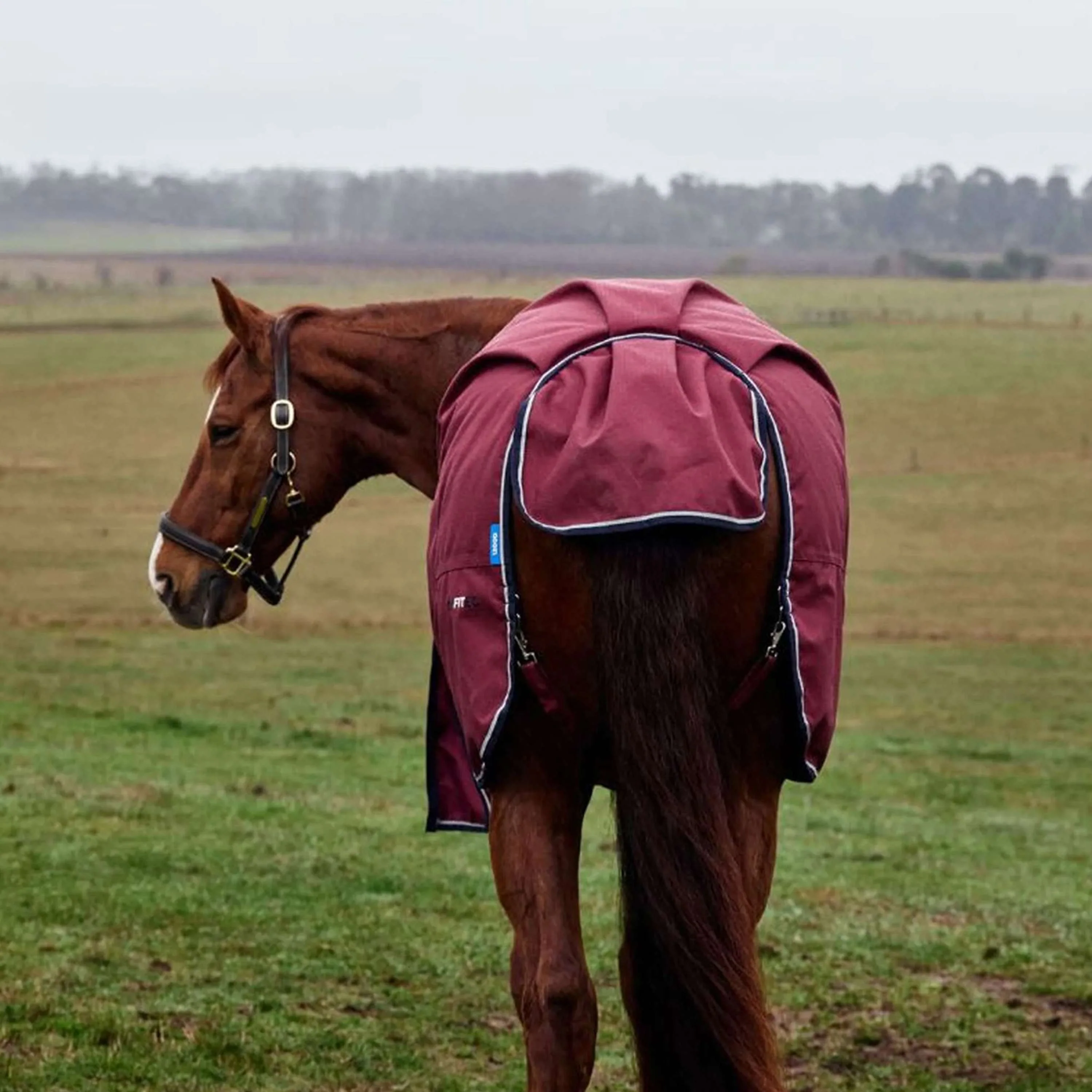WeatherBeeta ComFiTec Prelim Turnout 0g Bourgogne/Marine - Image 7