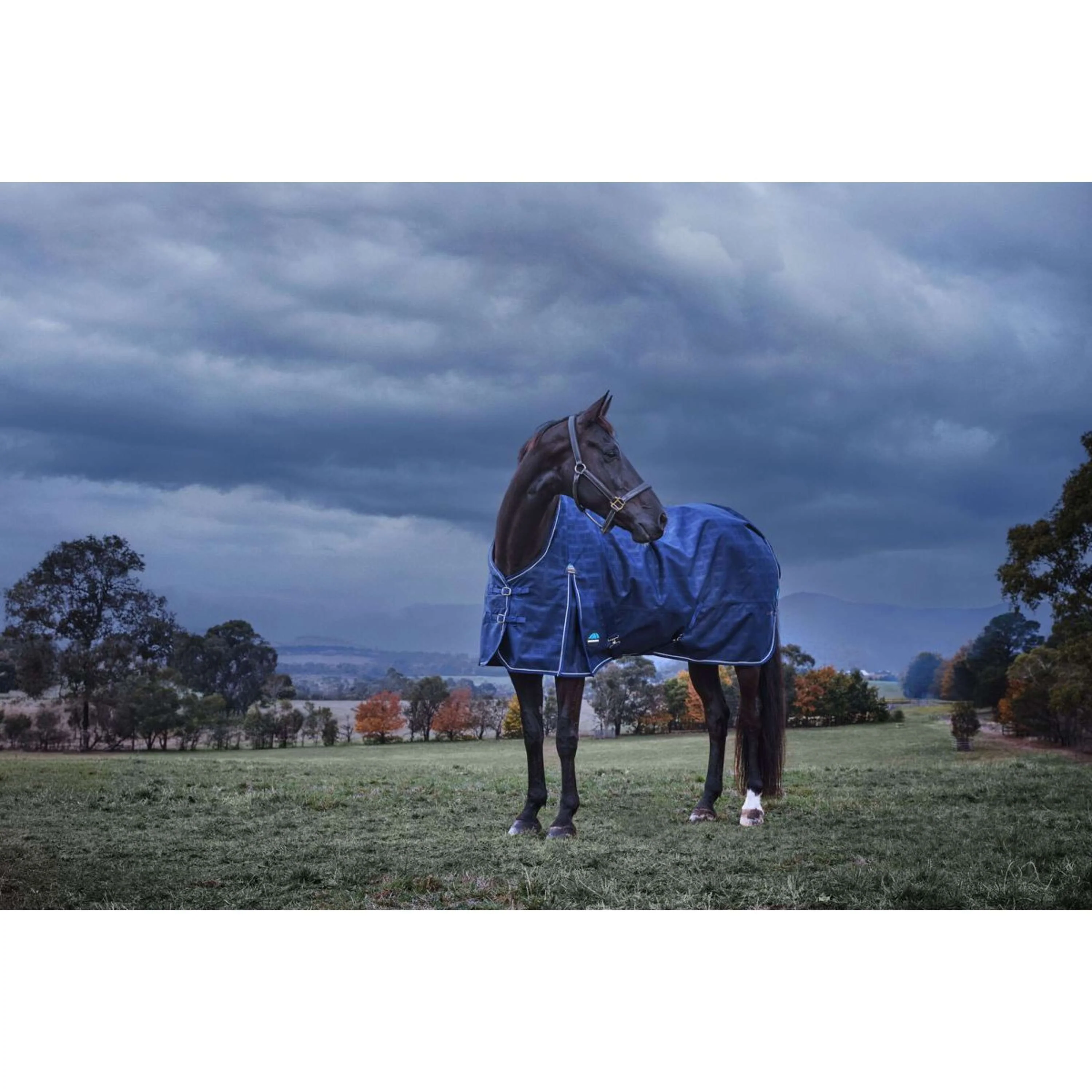 WeatherBeeta ComFiTec Prelim Turnout 220g Navy Embossed Plaid - Image 11