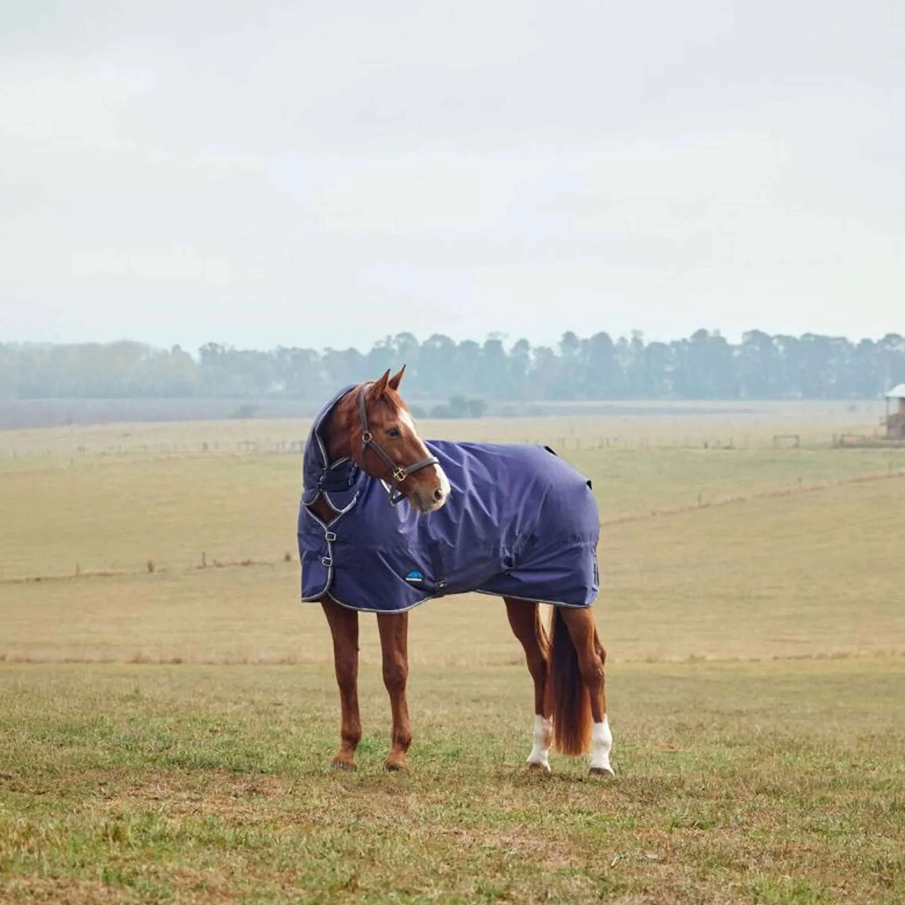 WeatherBeeta ComFiTec Tyro Turnout Combo Neck 220g Navy/Charcoal - Image 2