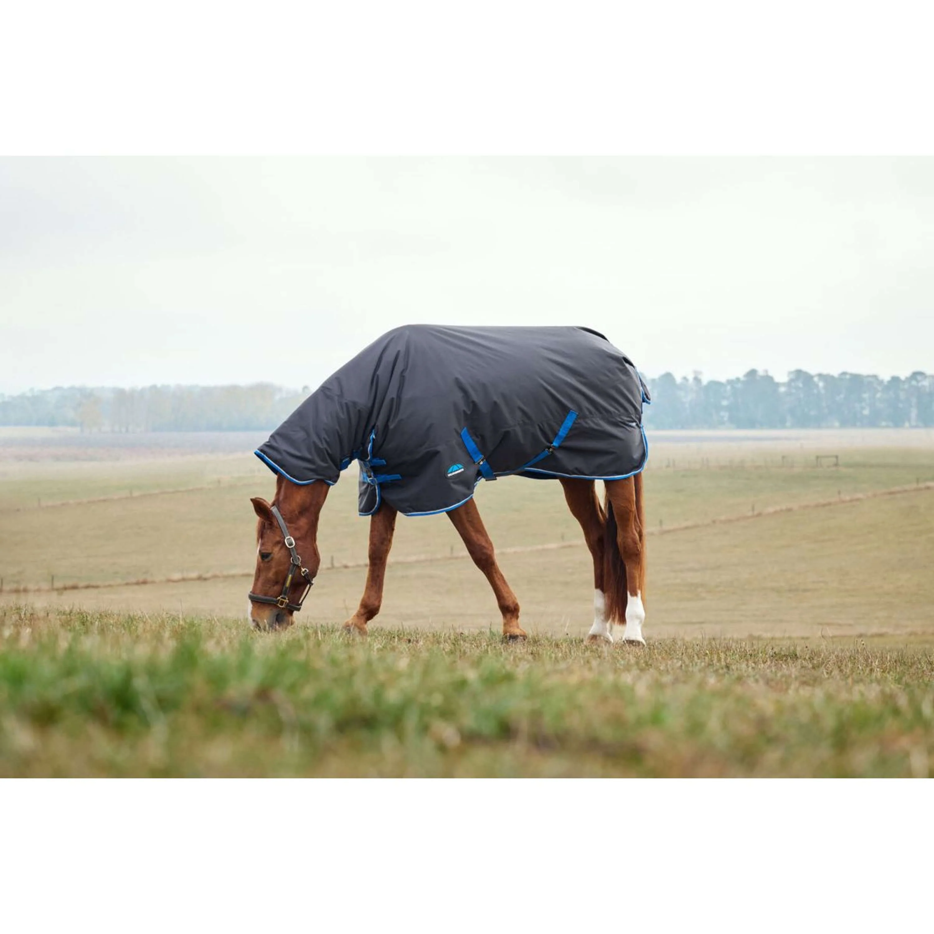 WeatherBeeta ComFiTec Tyro Turnout Combo Neck 220g Noir/Cobalt - Image 2