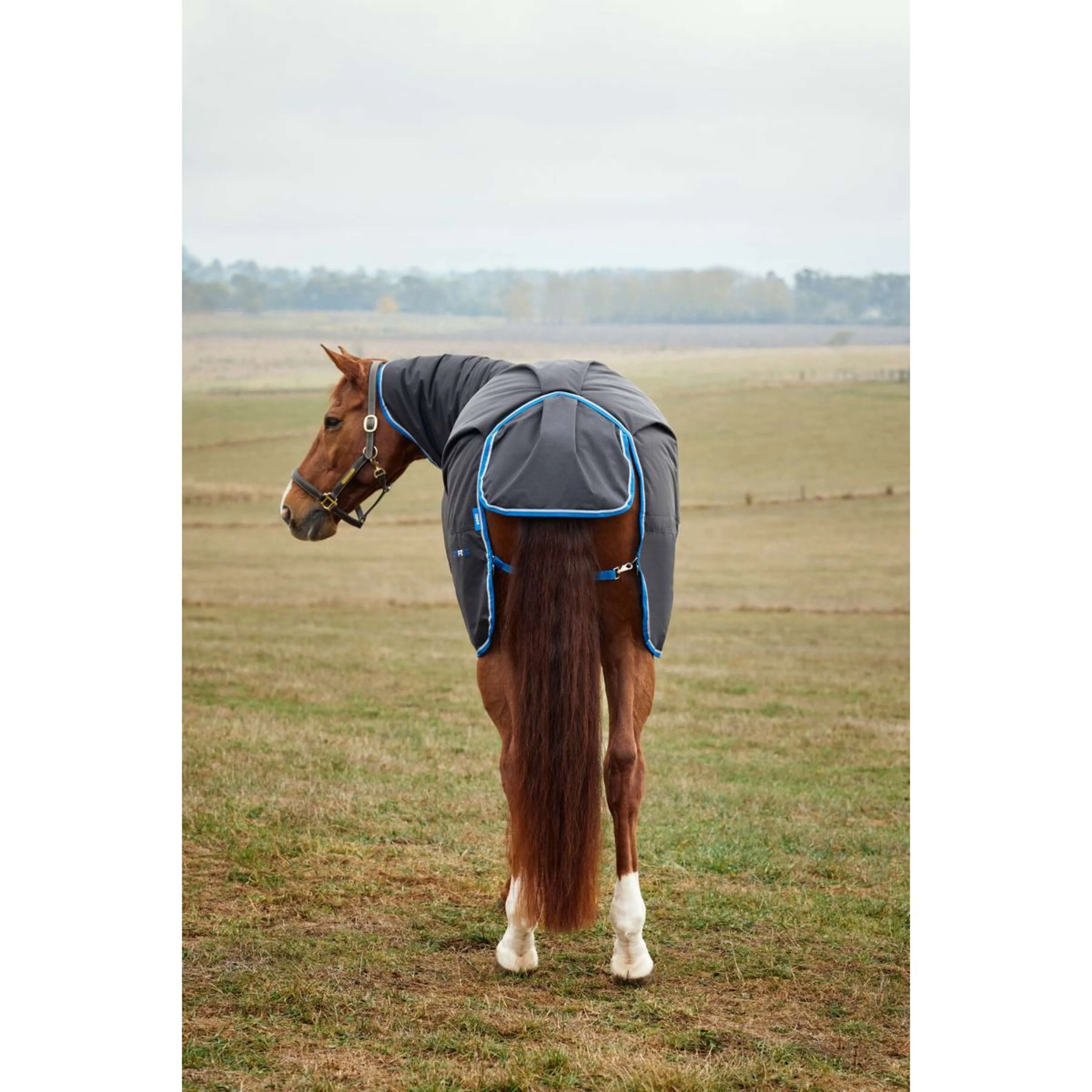 WeatherBeeta ComFiTec Tyro Turnout Combo Neck 220g Noir/Cobalt - Image 6