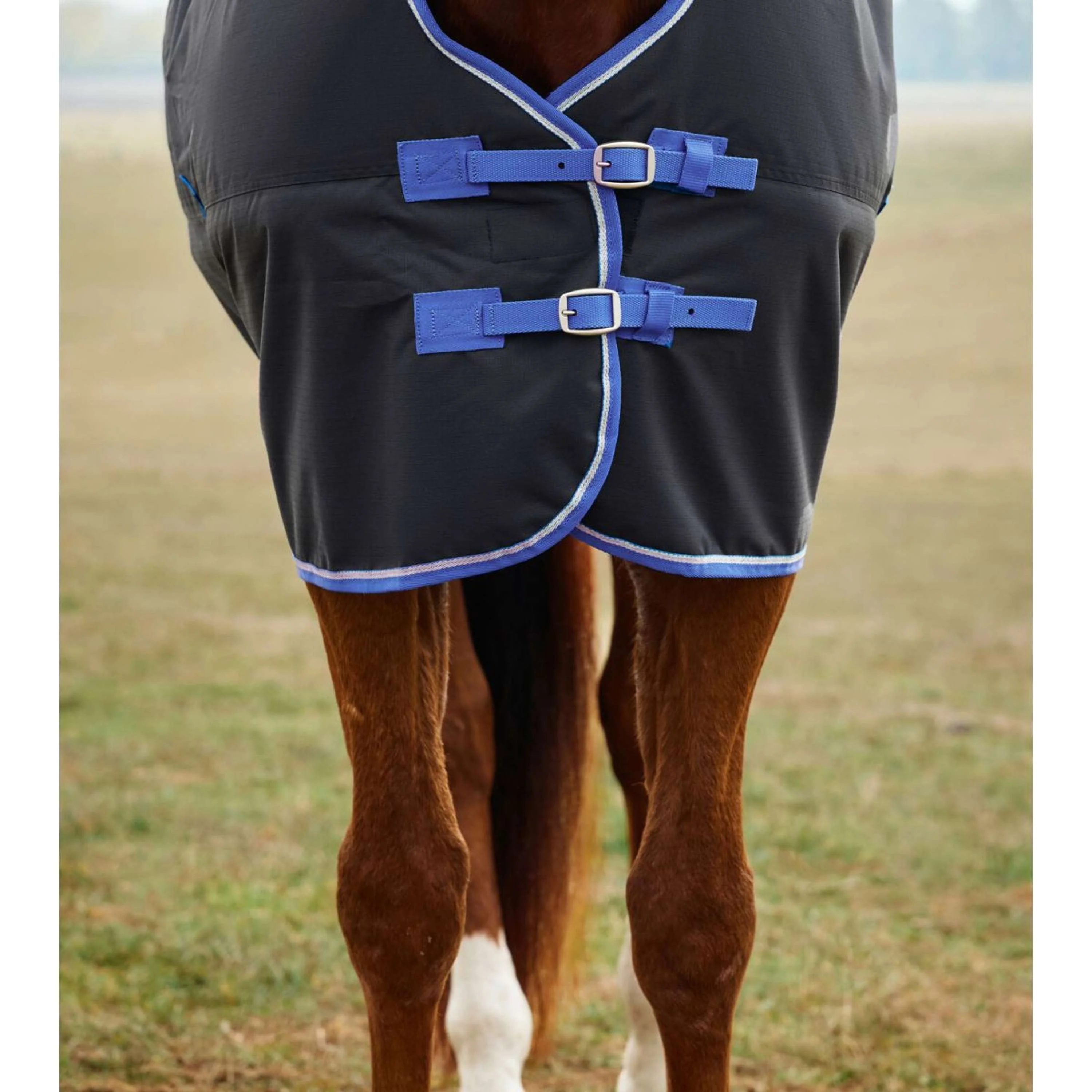 WeatherBeeta ComFiTec Tyro Turnout Standard Neck 220g Noir/Cobalt - Image 2