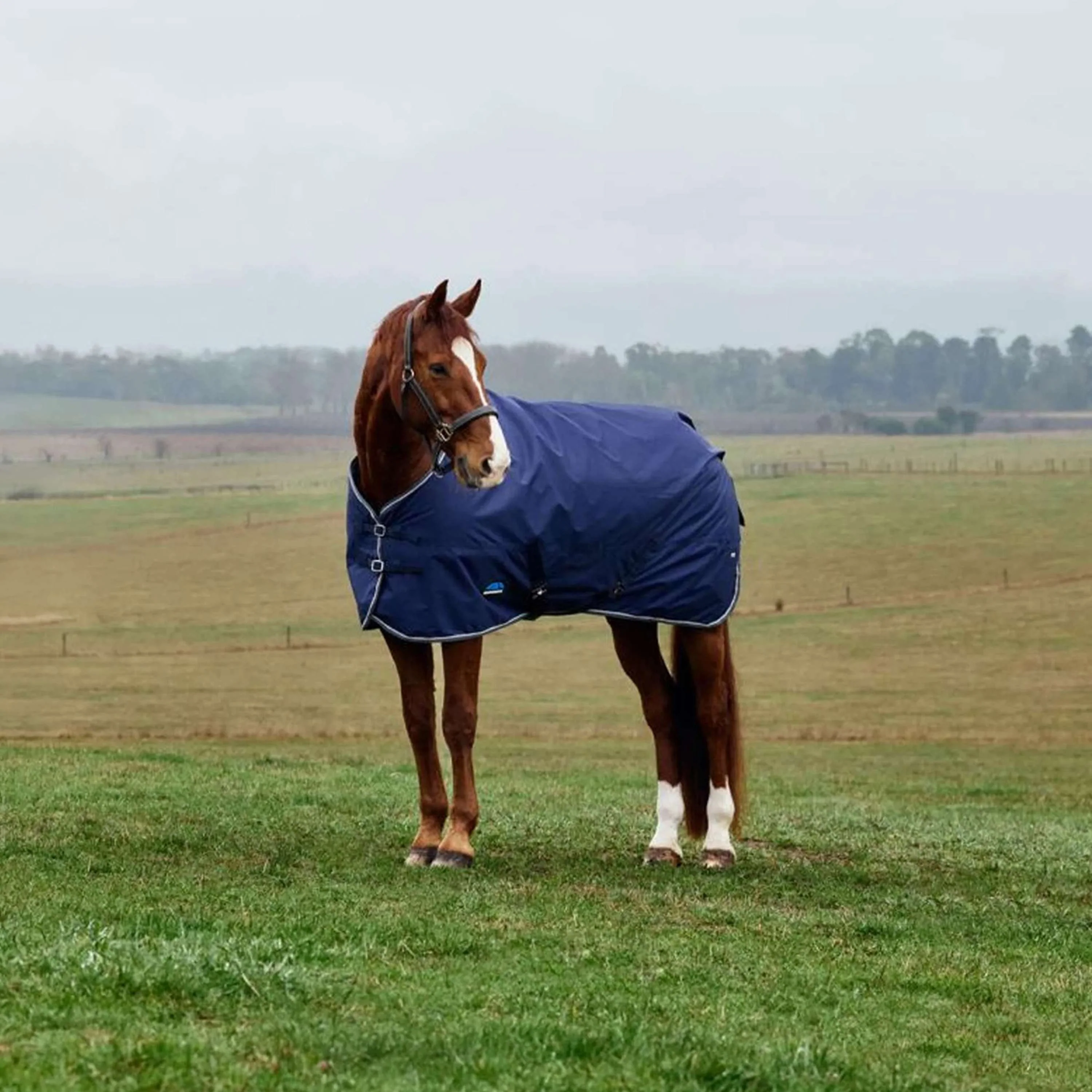 WeatherBeeta ComFiTec Tyro Turnout Standard Neck 220g Navy/Charcoal - Image 3
