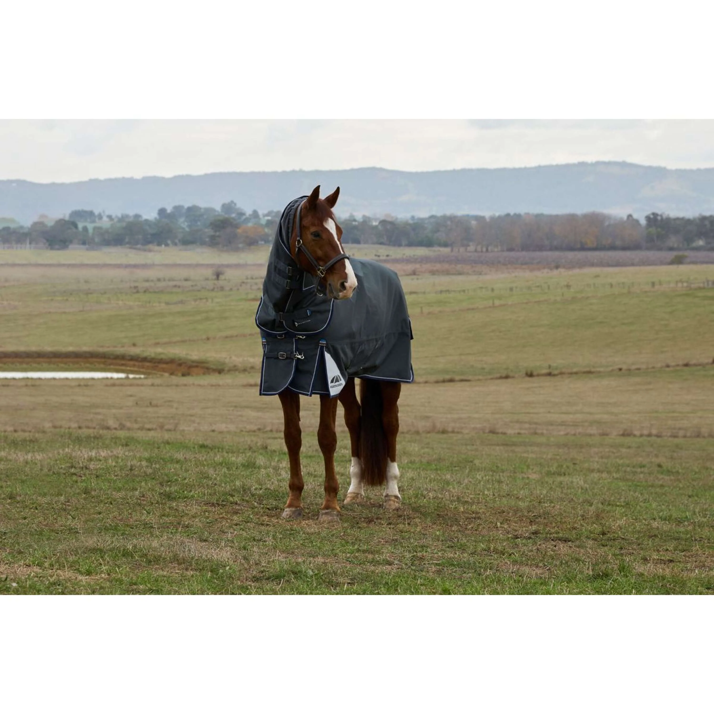 WeatherBeeta ComFiTec Ultra Turnout Detach-A-Neck 100g Charbon - Image 2