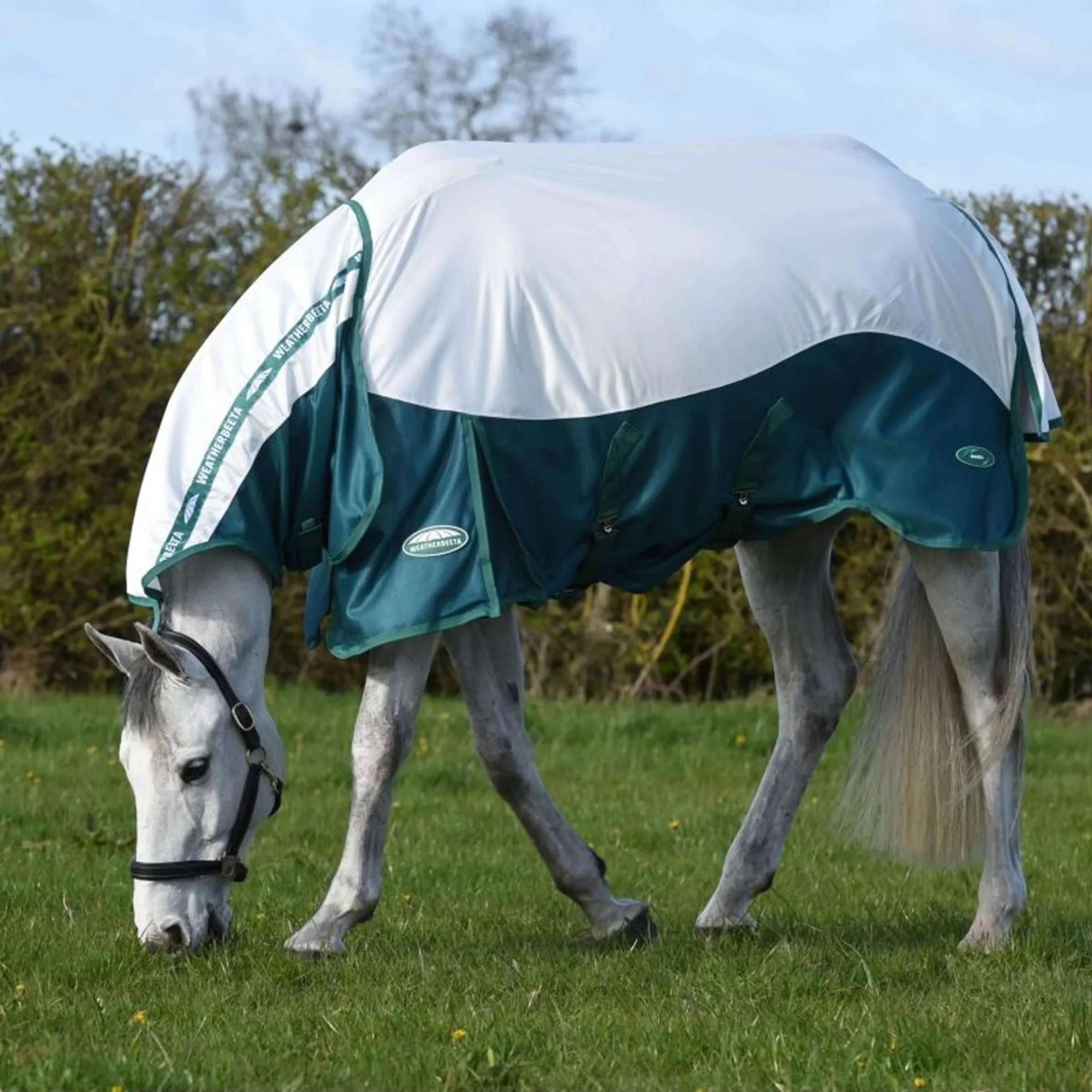 WeatherBeeta Couverture Anti-Mouches ComFiTec Green-Tec Airflow Mesh Combo Neck White/Dragonfly Blue - Image 2