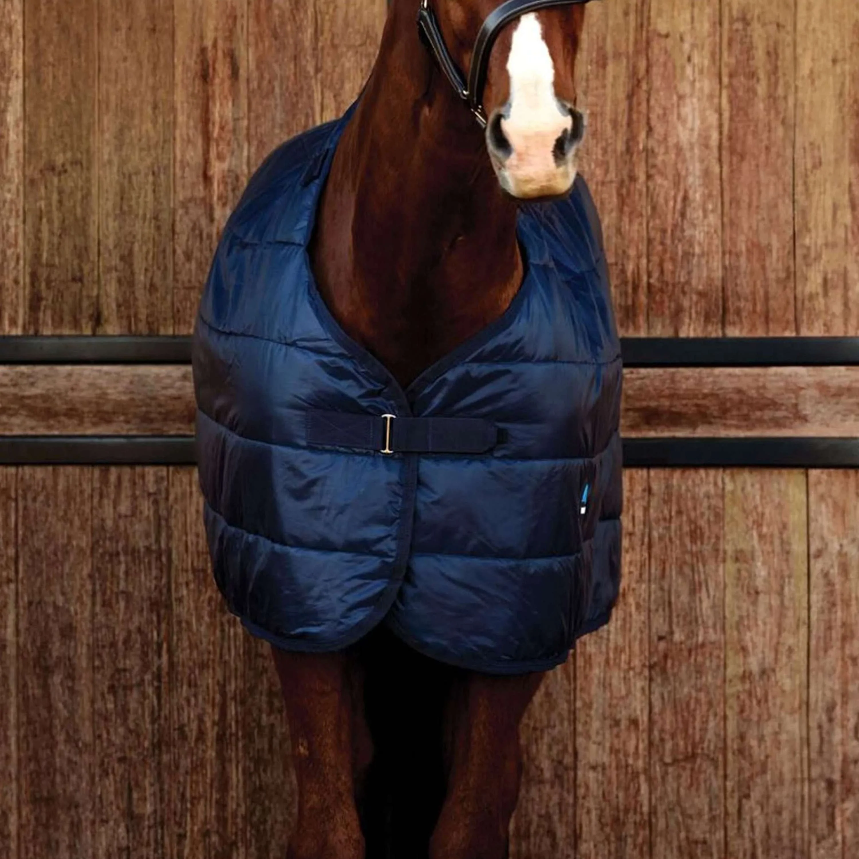 WeatherBeeta Couverture ComFiTec 100g Marin - Image 2