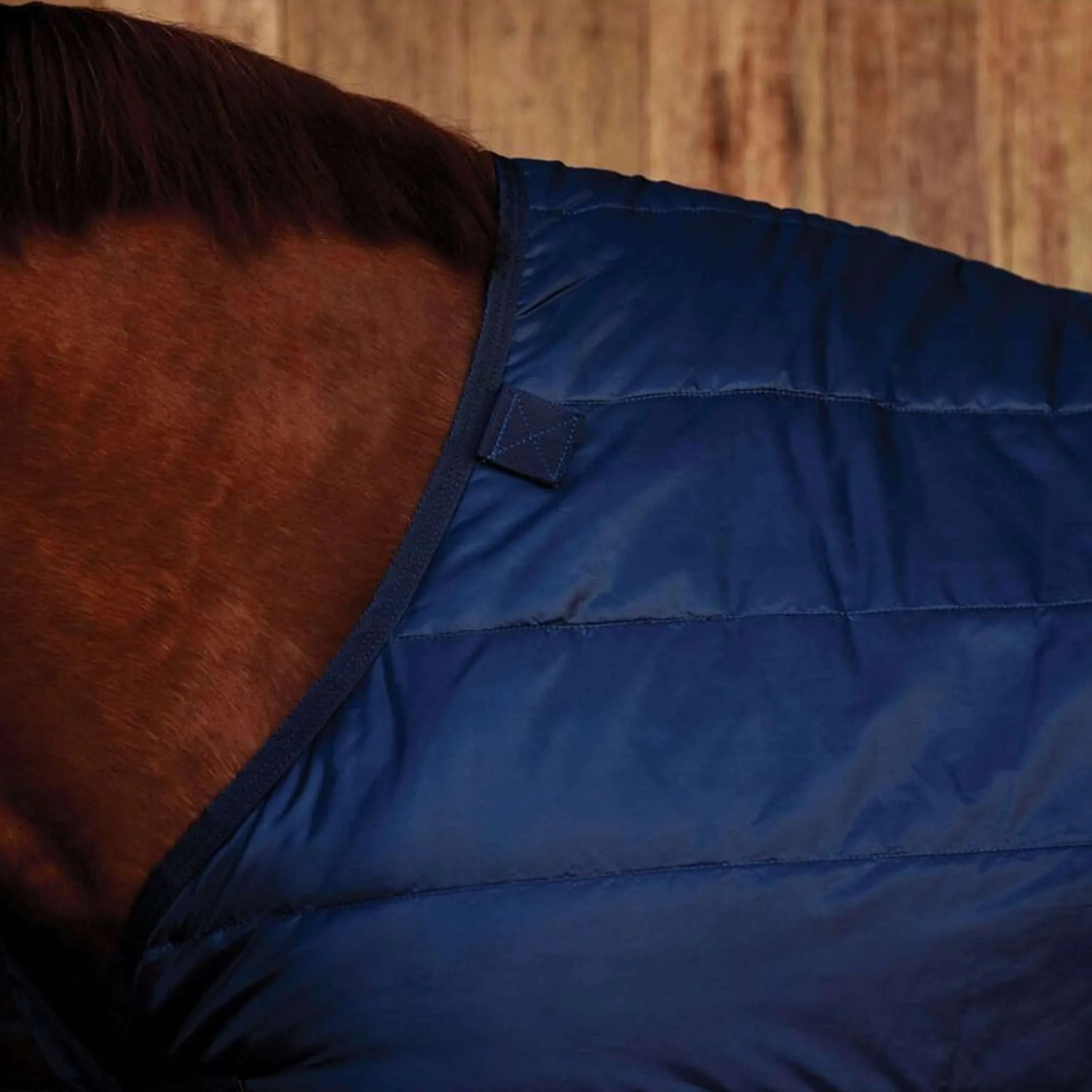 WeatherBeeta Couverture ComFiTec 100g Marin - Image 3