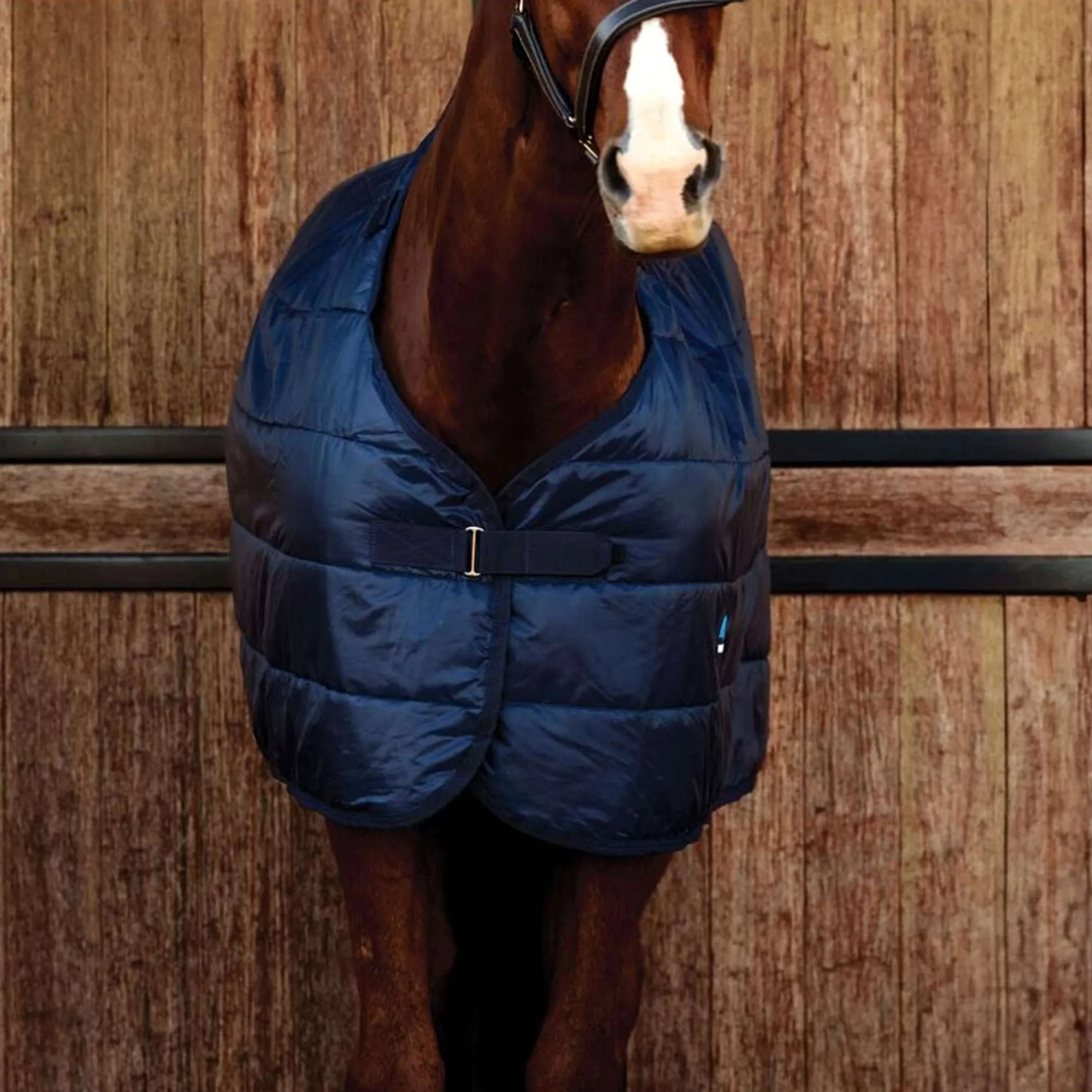 WeatherBeeta Couverture ComFiTec 300g Marin - Image 2