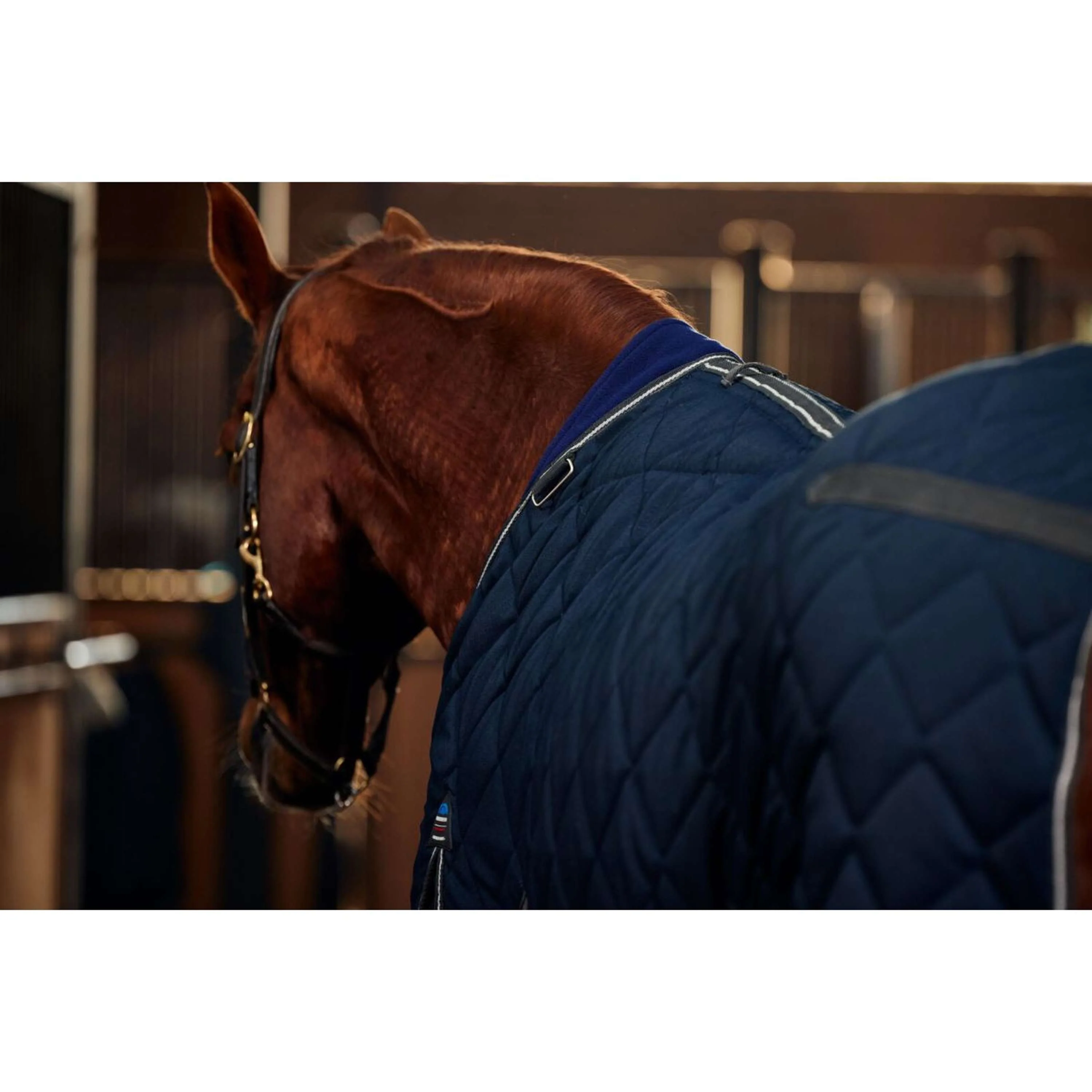 WeatherBeeta Couverture d'Écurie ComFiTec 100D Diamond Quilt Detach-A-Neck 220g Navy/Charcoal - Image 9