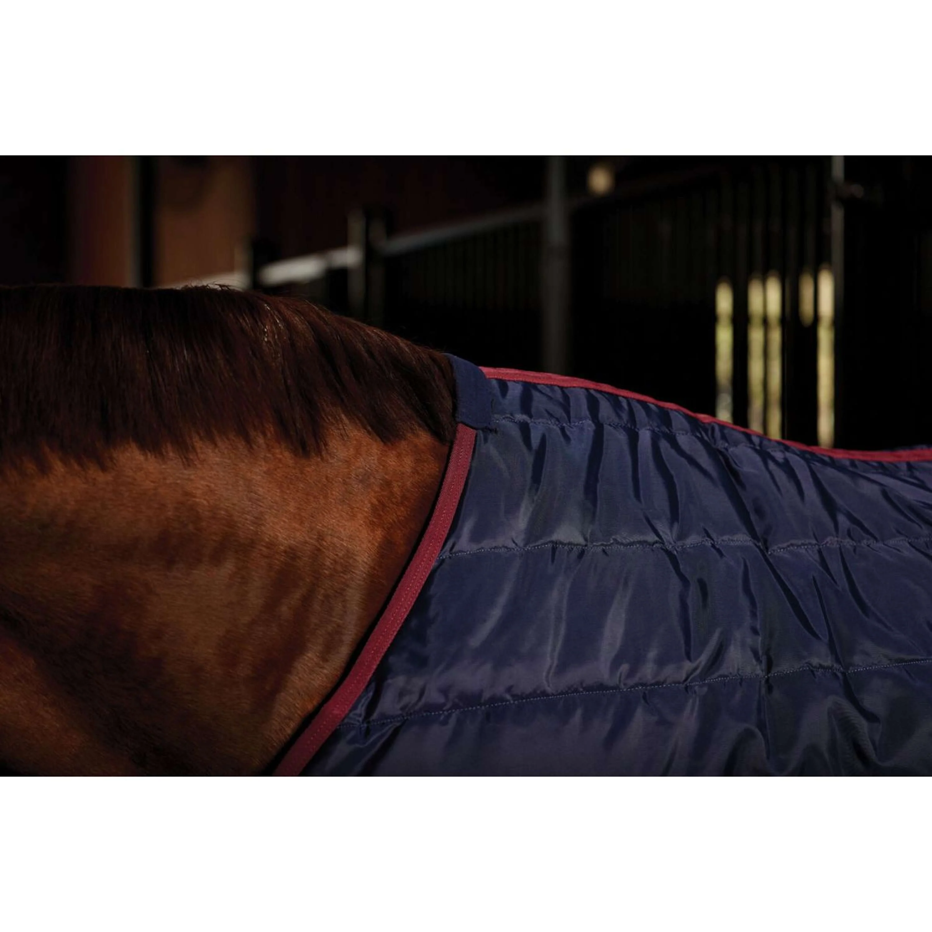 WeatherBeeta Couverture d'Écurie ComFiTec 210D Channel Quilt Standard Neck 100g Marine/Bordeaux - Image 4
