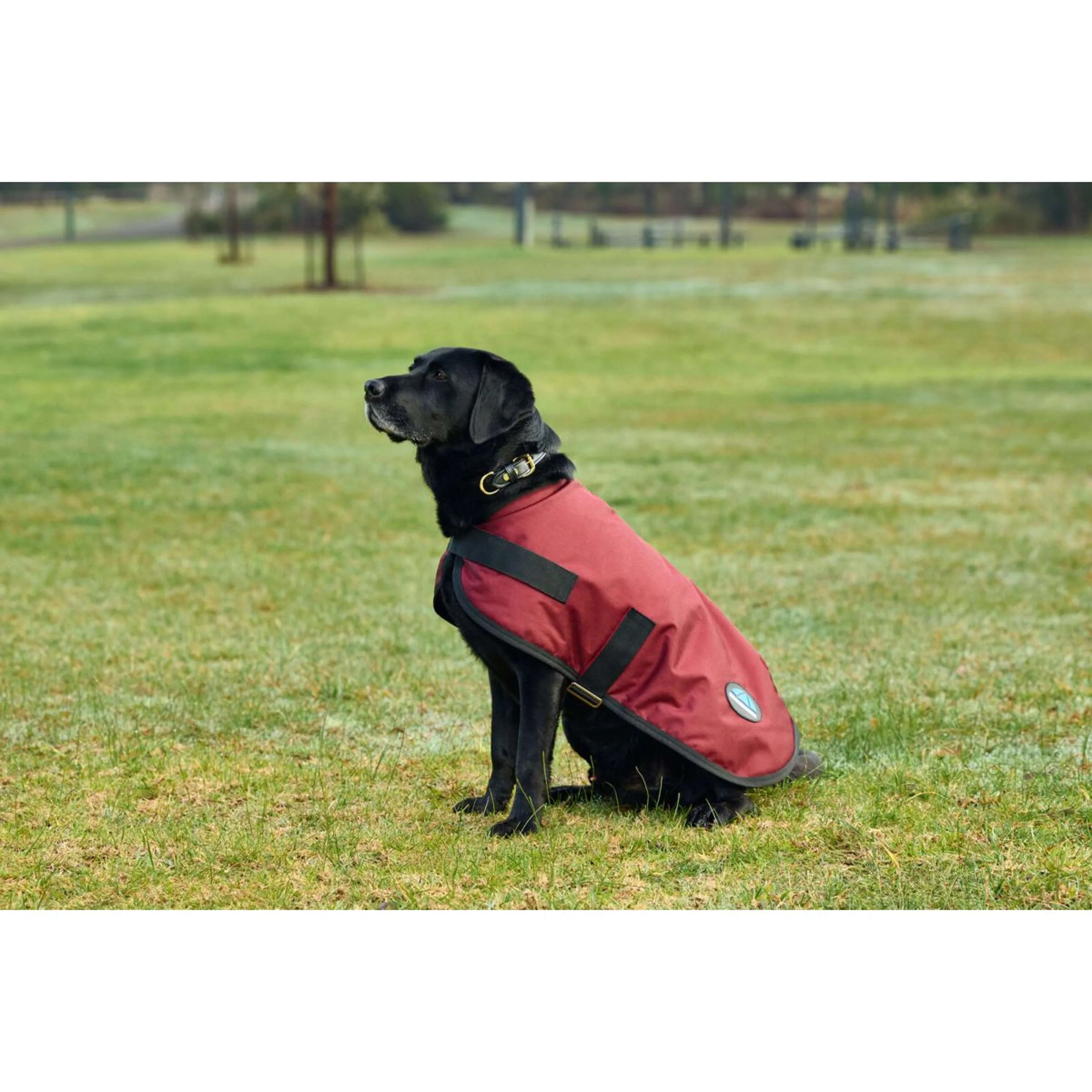 WeatherBeeta Couverture pour Chien ComFiTec Classic Waterproof Bordeaux - Image 4