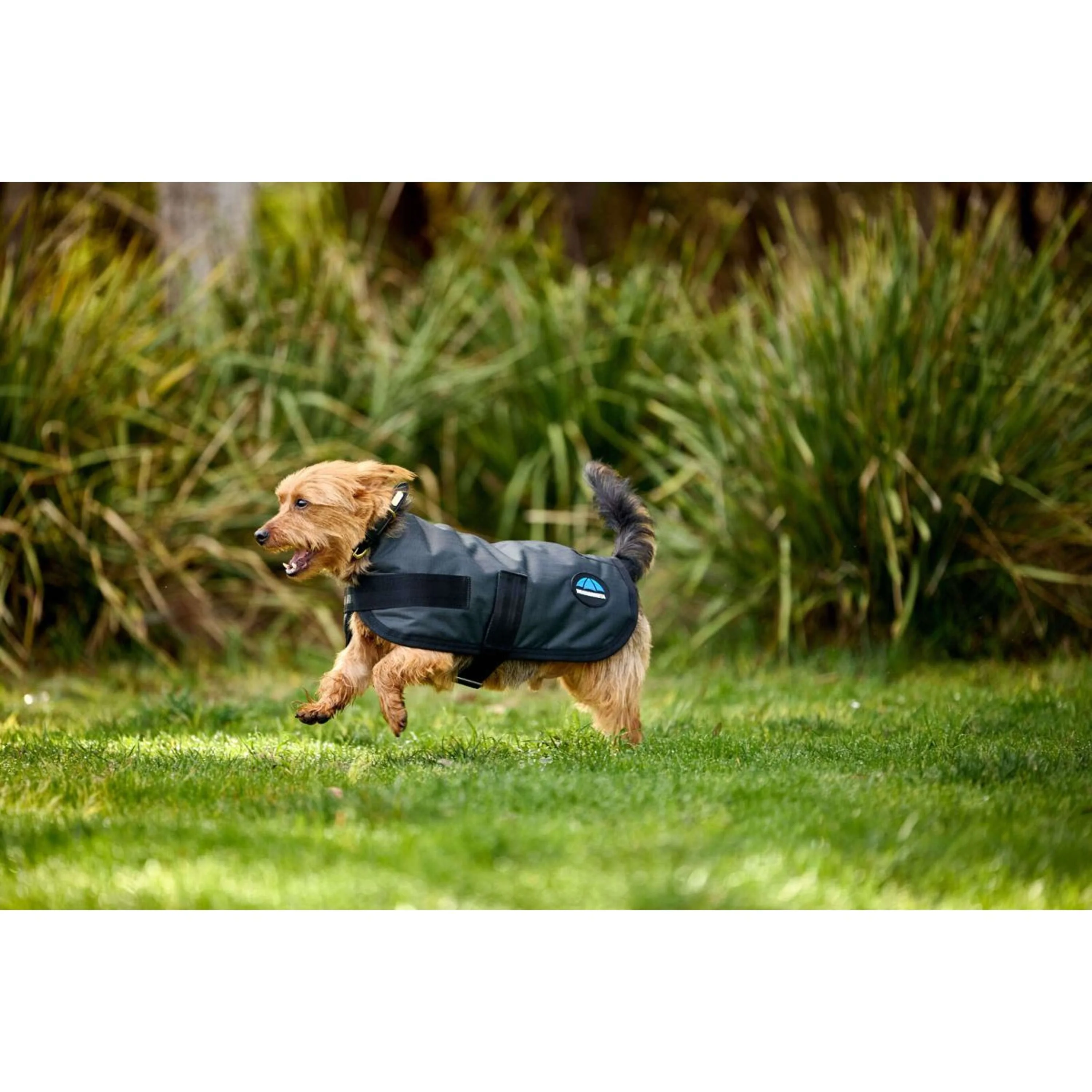 WeatherBeeta Couverture pour Chien ComFiTec Classic Waterproof Charbon - Image 2