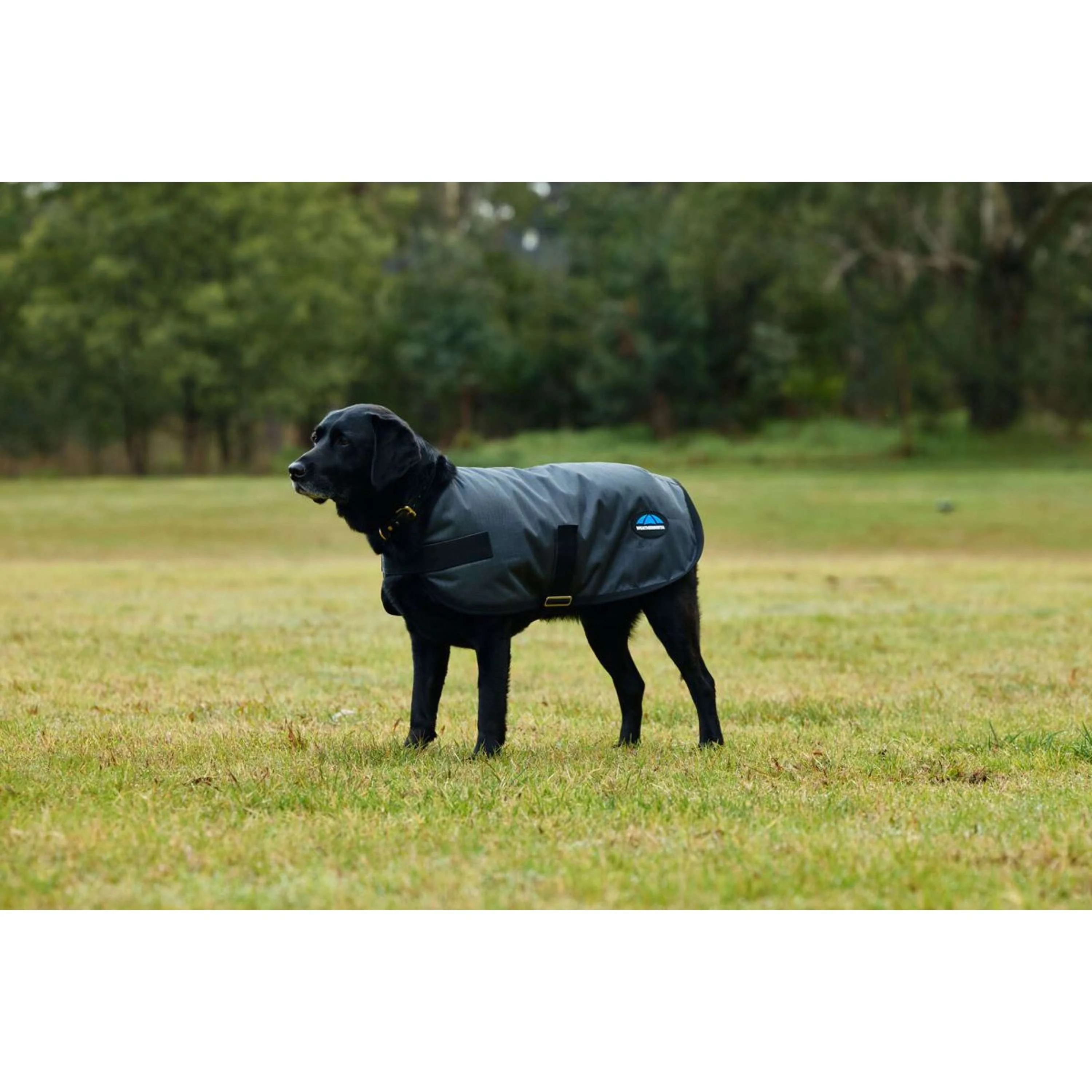 WeatherBeeta Couverture pour Chien ComFiTec Classic Waterproof Charbon - Image 4