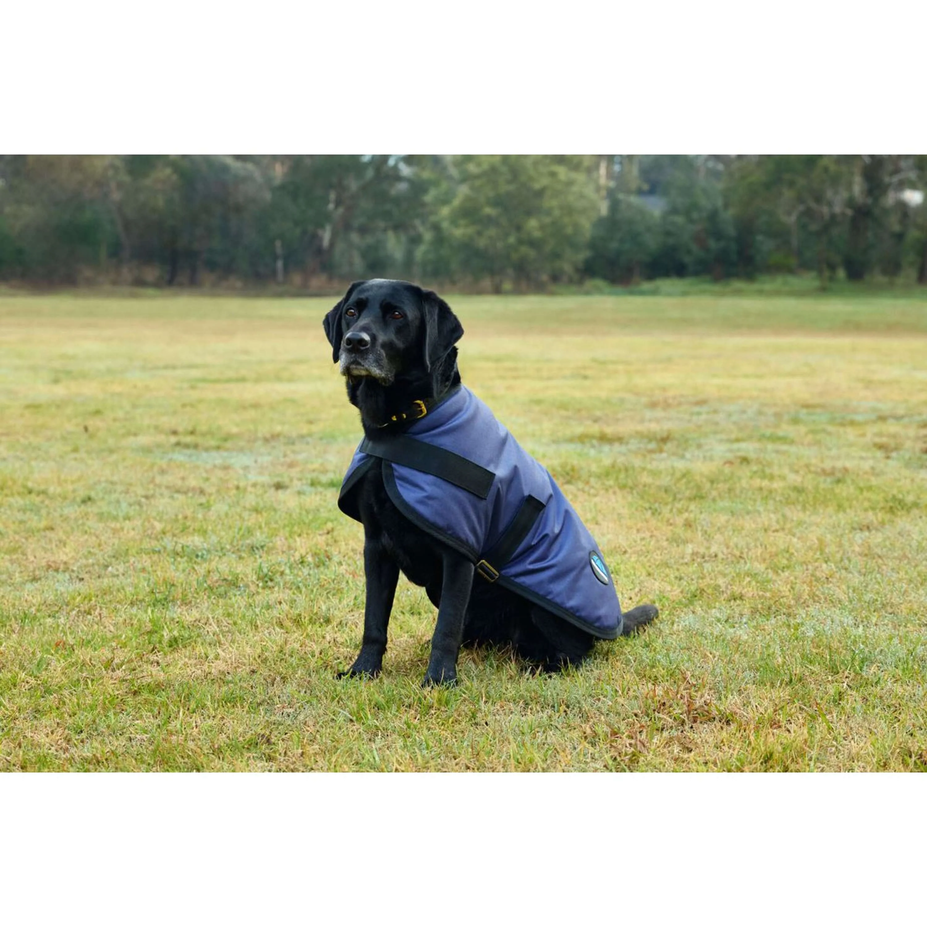 WeatherBeeta Couverture pour Chien ComFiTec Classic Waterproof Marin - Image 2