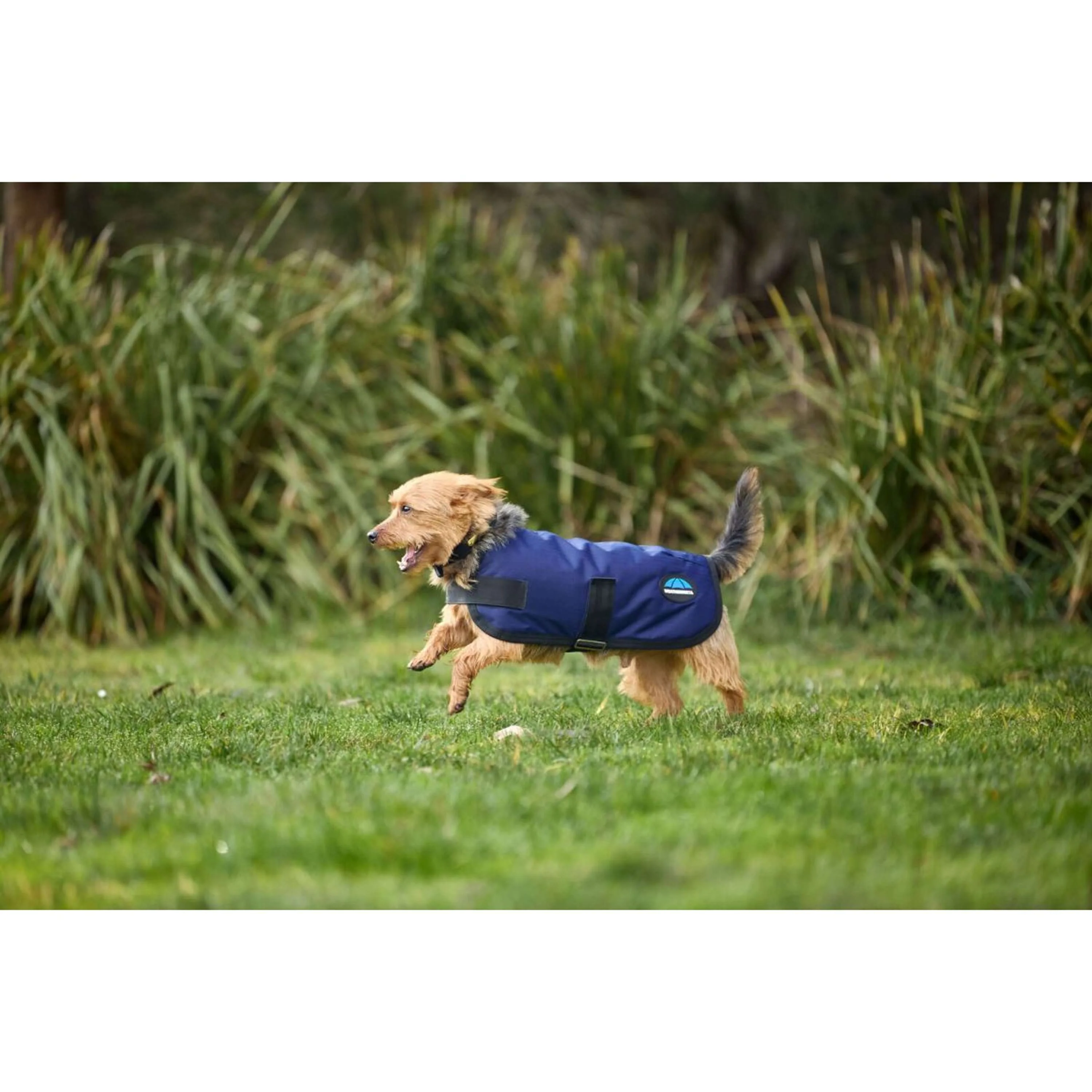 WeatherBeeta Couverture pour Chien ComFiTec Classic Waterproof Marin - Image 3
