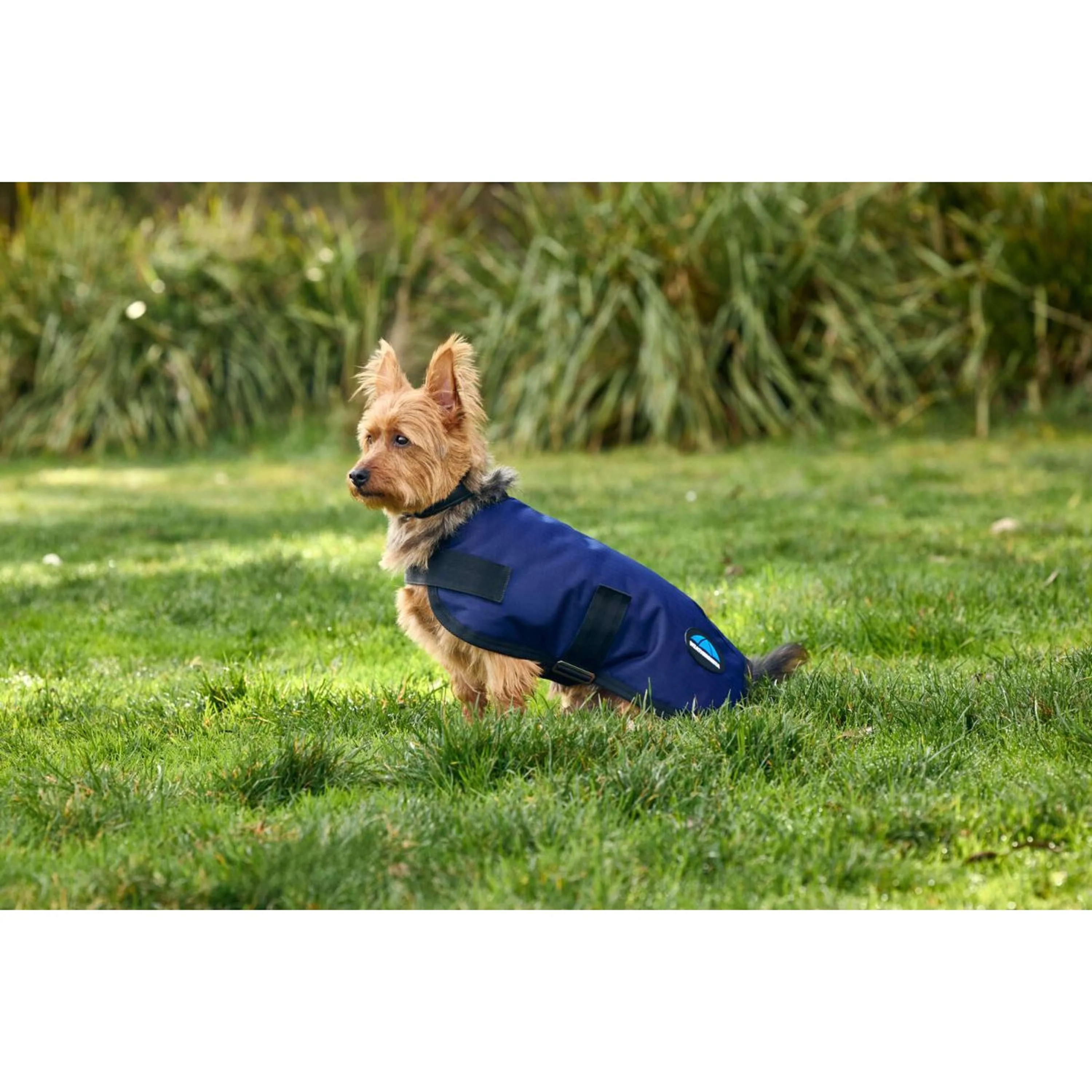 WeatherBeeta Couverture pour Chien ComFiTec Classic Waterproof Marin - Image 4