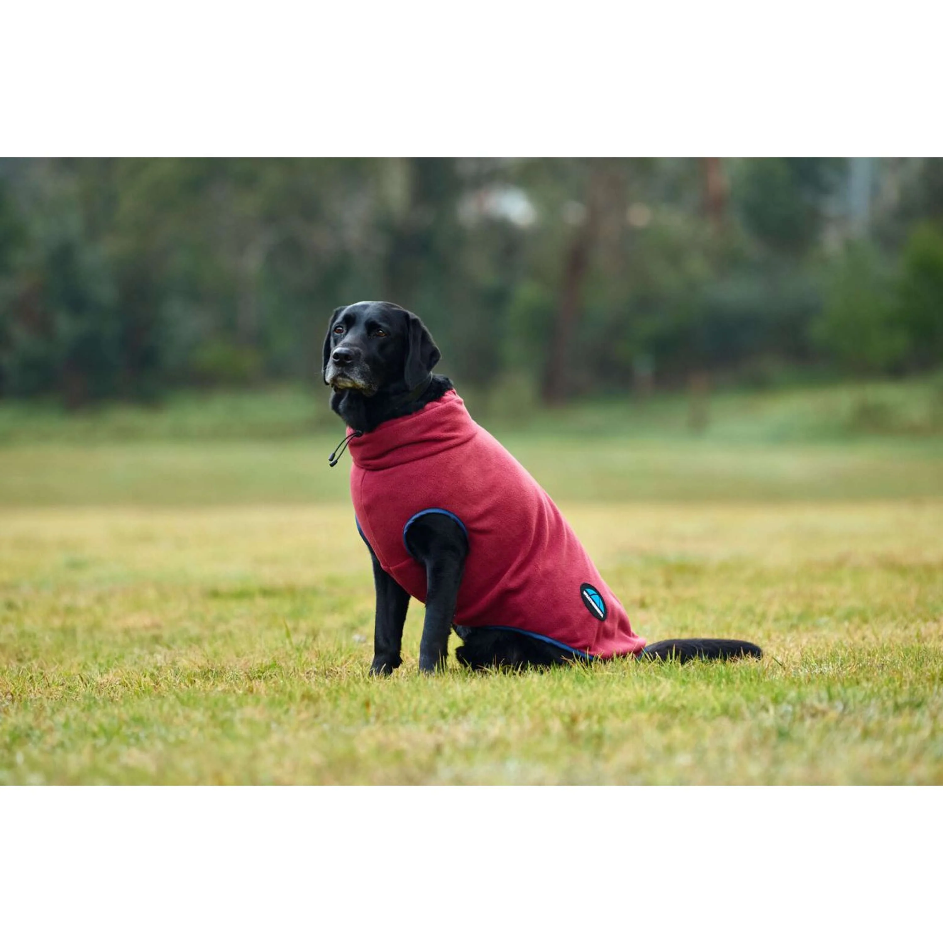 WeatherBeeta Couverture pour Chien ComFiTec Fleece Zip Bourgogne/Marine - Image 2