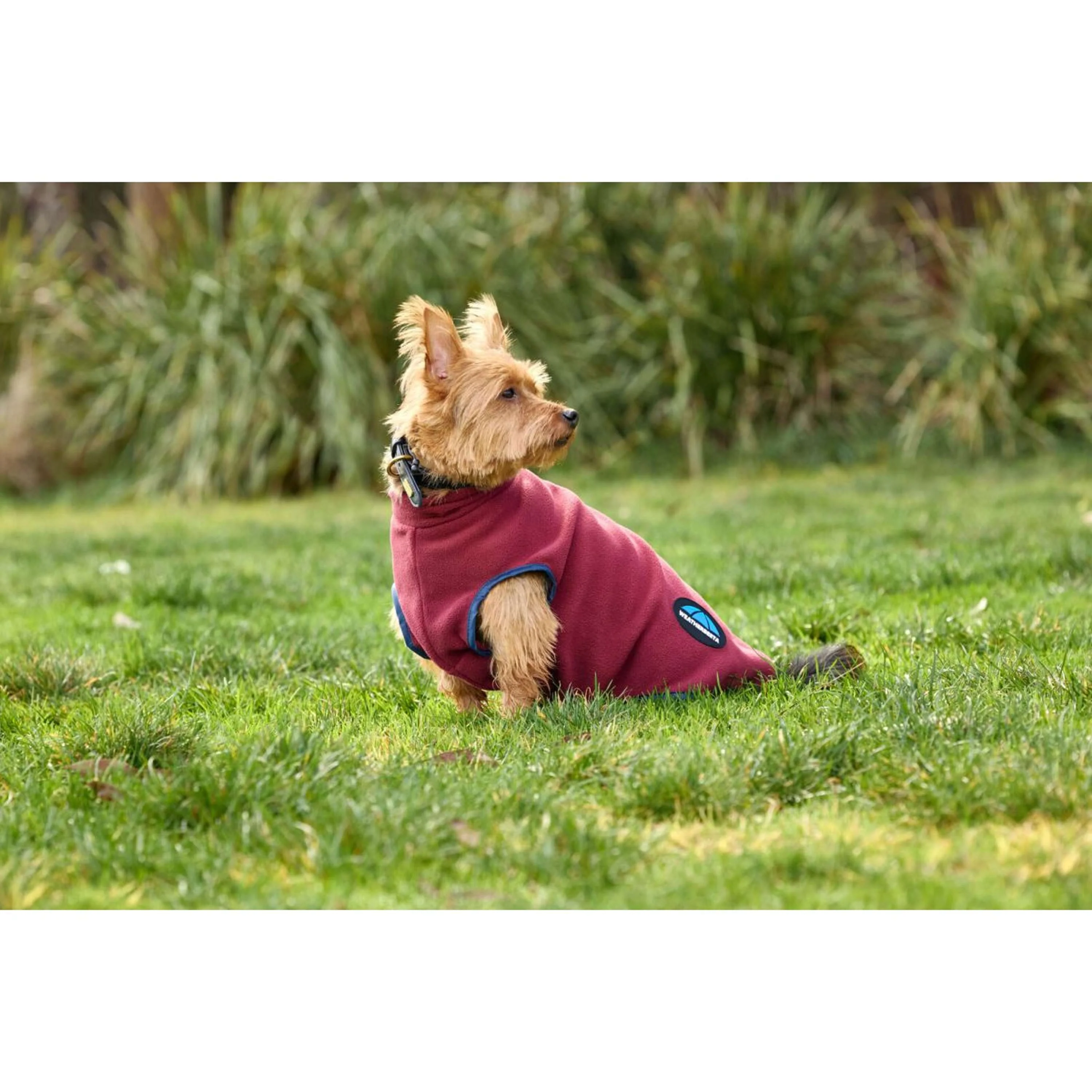 WeatherBeeta Couverture pour Chien ComFiTec Fleece Zip Bourgogne/Marine - Image 3