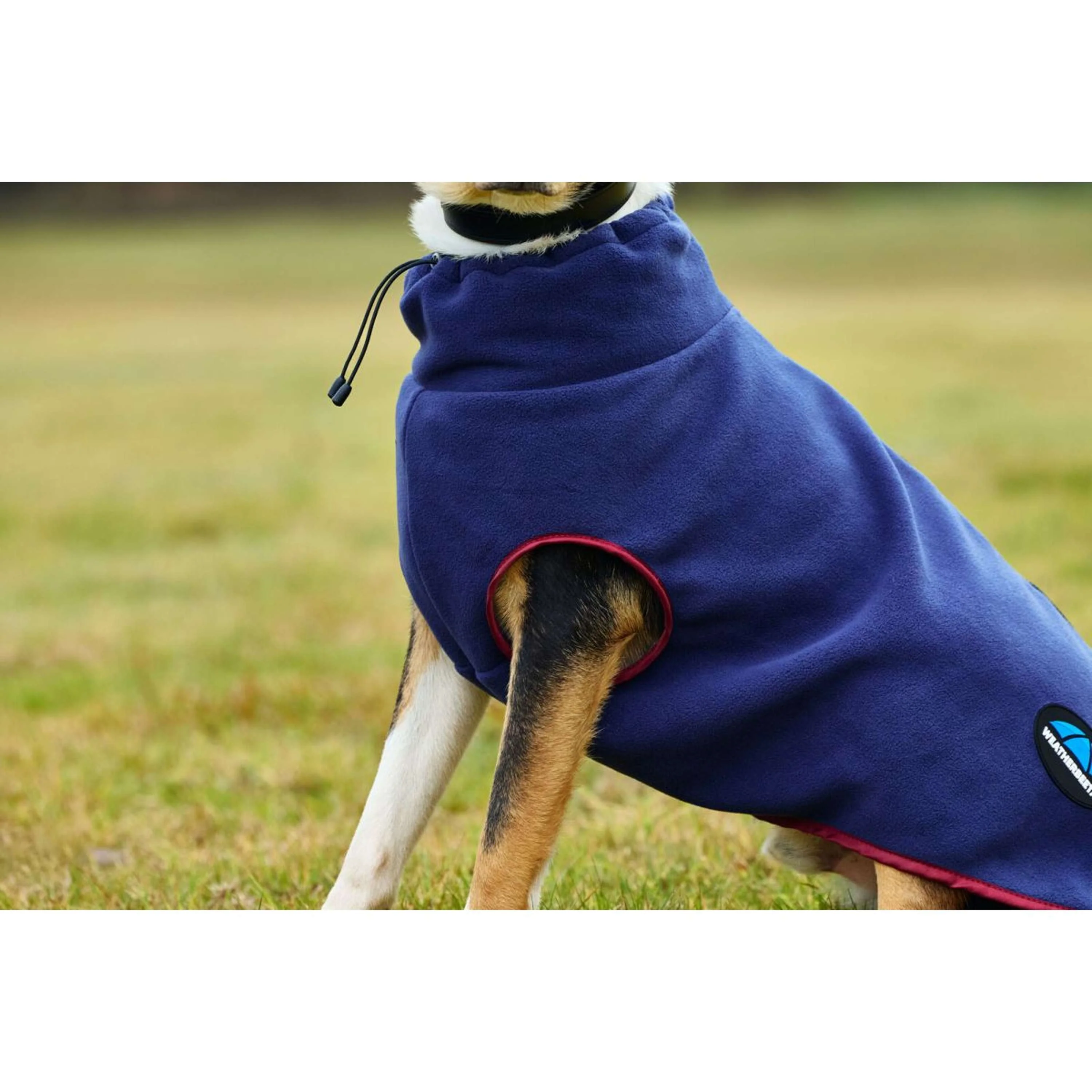 WeatherBeeta Couverture pour Chien ComFiTec Fleece Zip Marine/Bordeaux - Image 2