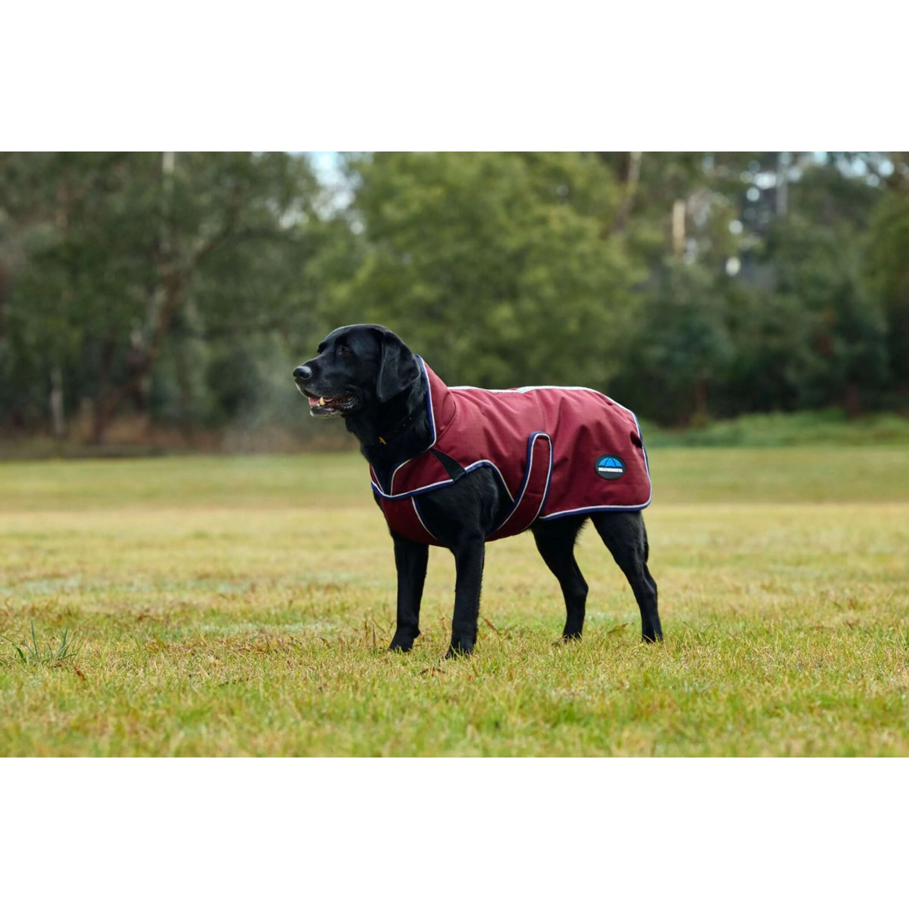 WeatherBeeta Couverture pour Chien ComFiTec Premier Deluxe Waterproof Bourgogne/Marine - Image 4