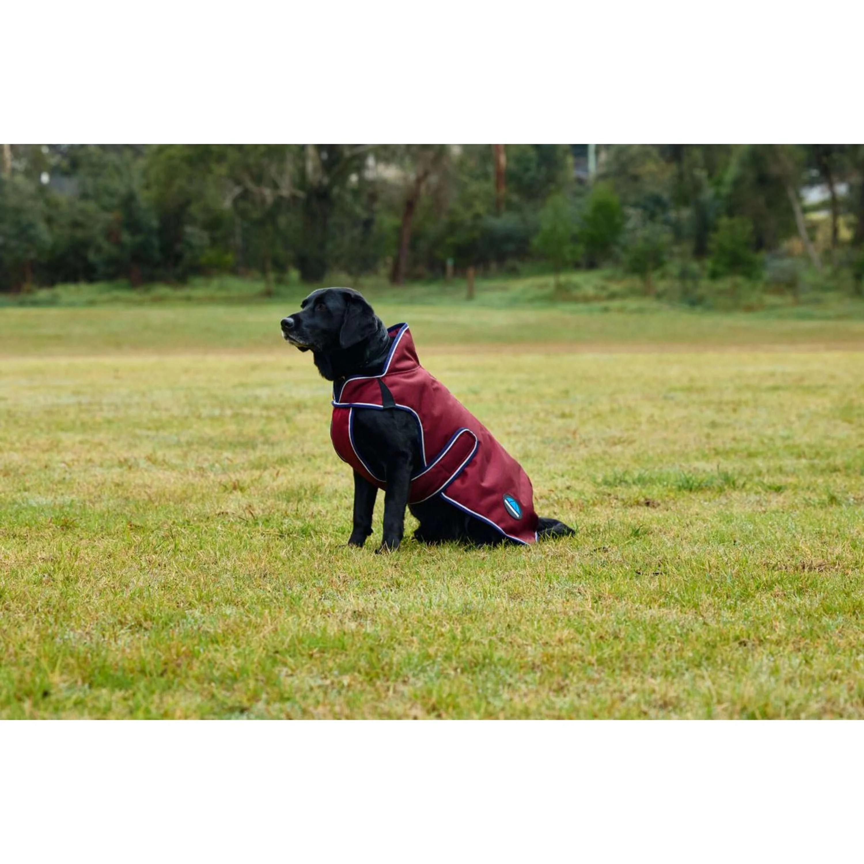 WeatherBeeta Couverture pour Chien ComFiTec Premier Deluxe Waterproof Bourgogne/Marine - Image 5