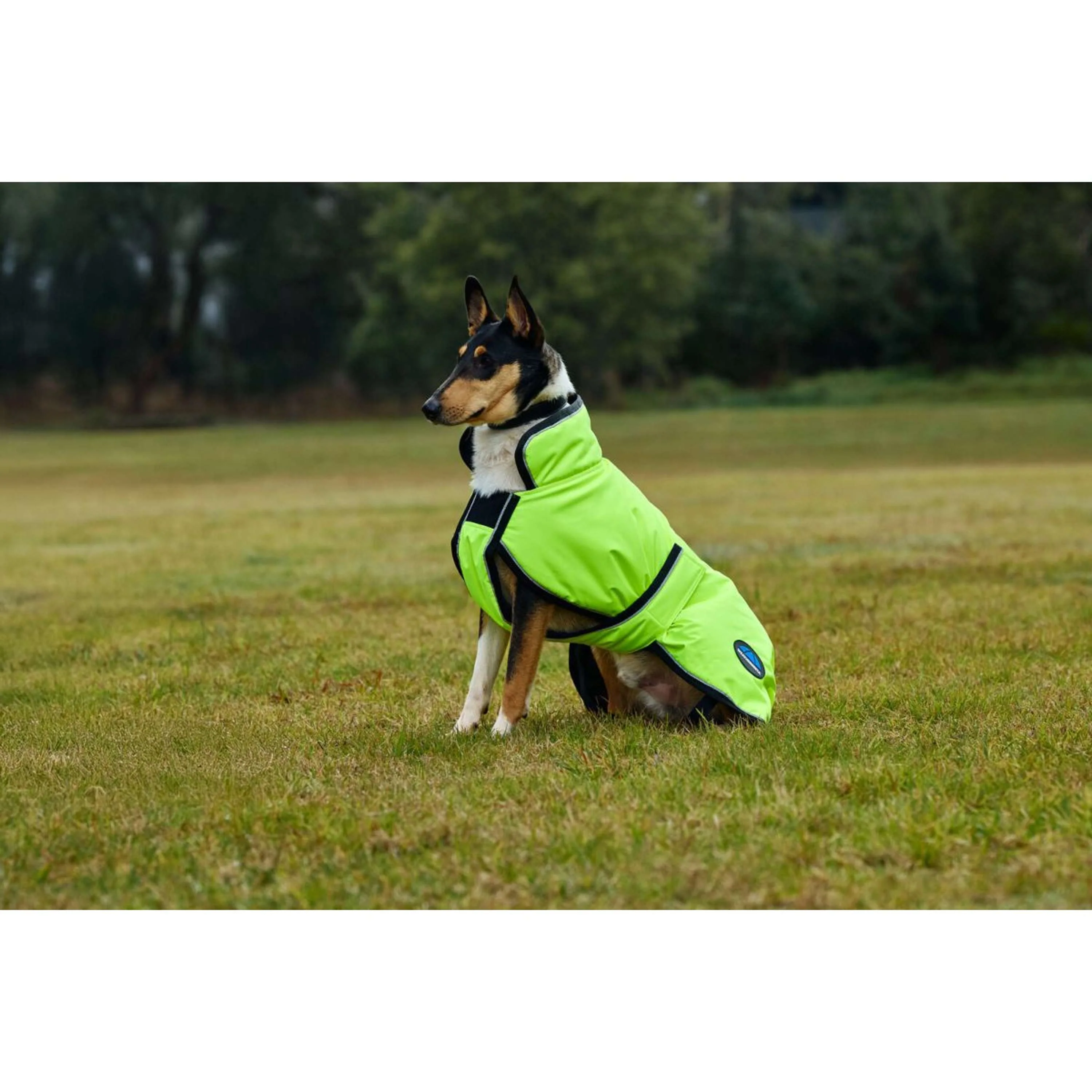 WeatherBeeta Couverture pour Chien ComFiTec Reflective 300D Deluxe Showerproof Jaune - Image 2