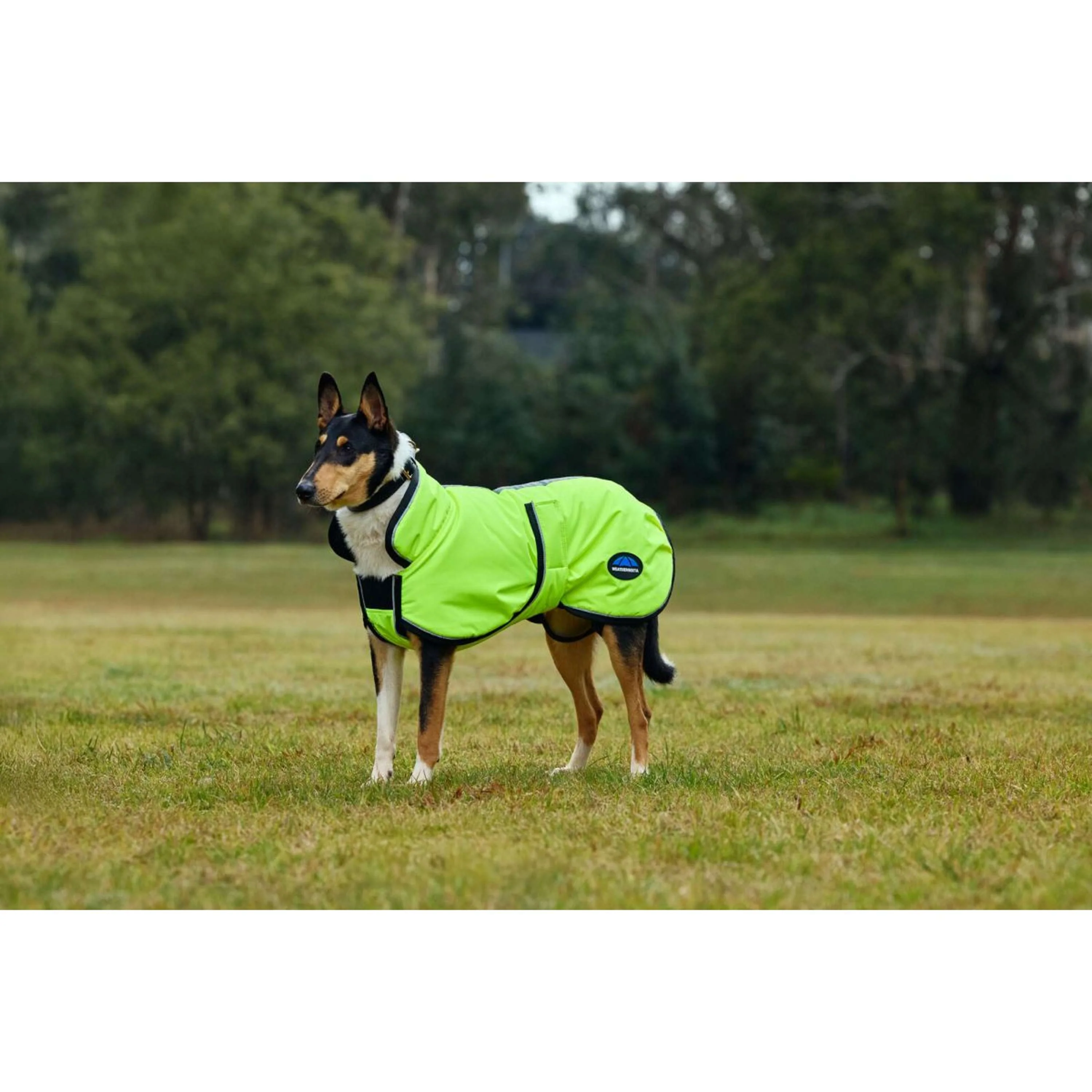 WeatherBeeta Couverture pour Chien ComFiTec Reflective 300D Deluxe Showerproof Jaune - Image 4