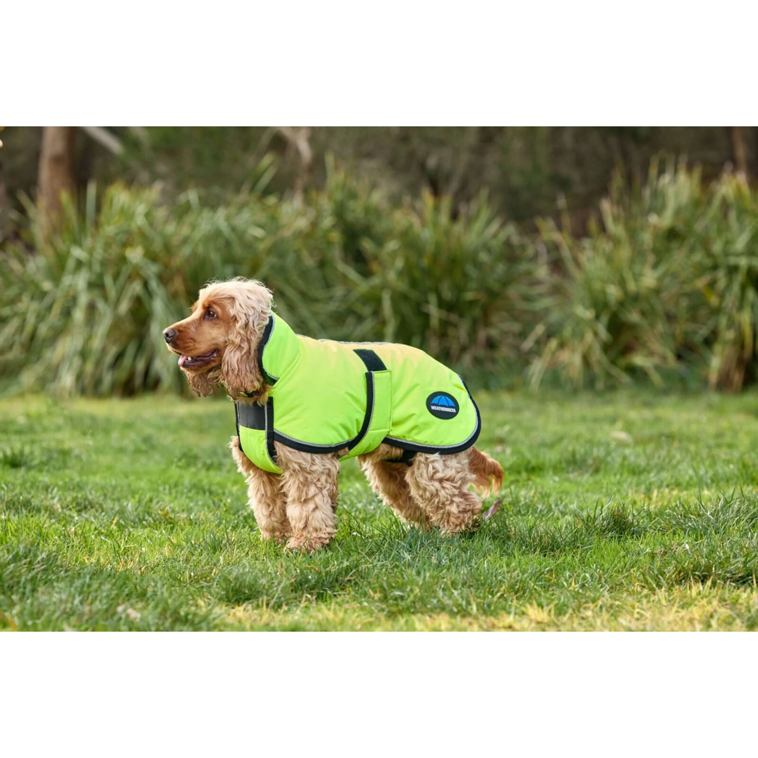 WeatherBeeta Couverture pour Chien ComFiTec Reflective 300D Deluxe Showerproof Jaune - Image 5