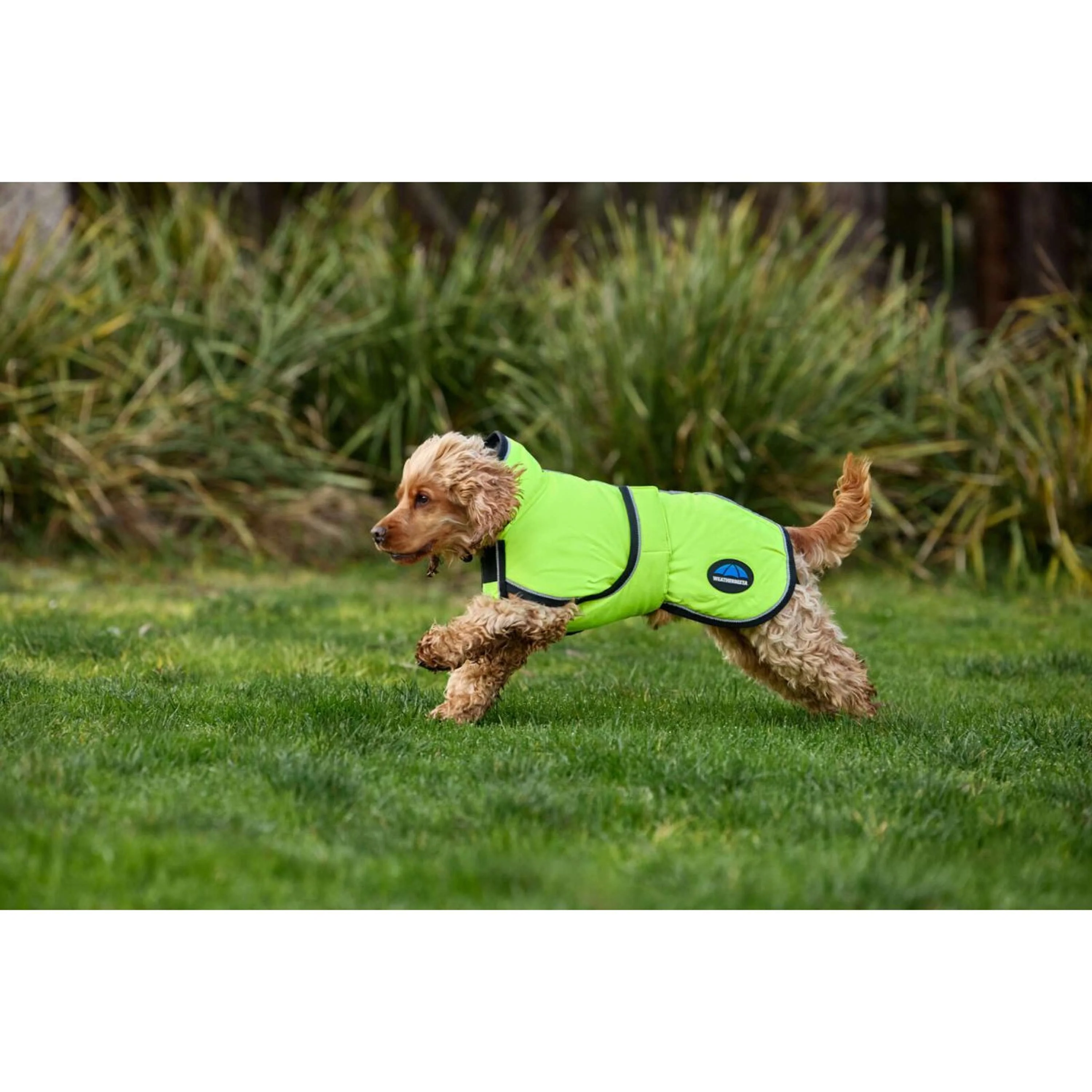 WeatherBeeta Couverture pour Chien ComFiTec Reflective 300D Deluxe Showerproof Jaune - Image 6