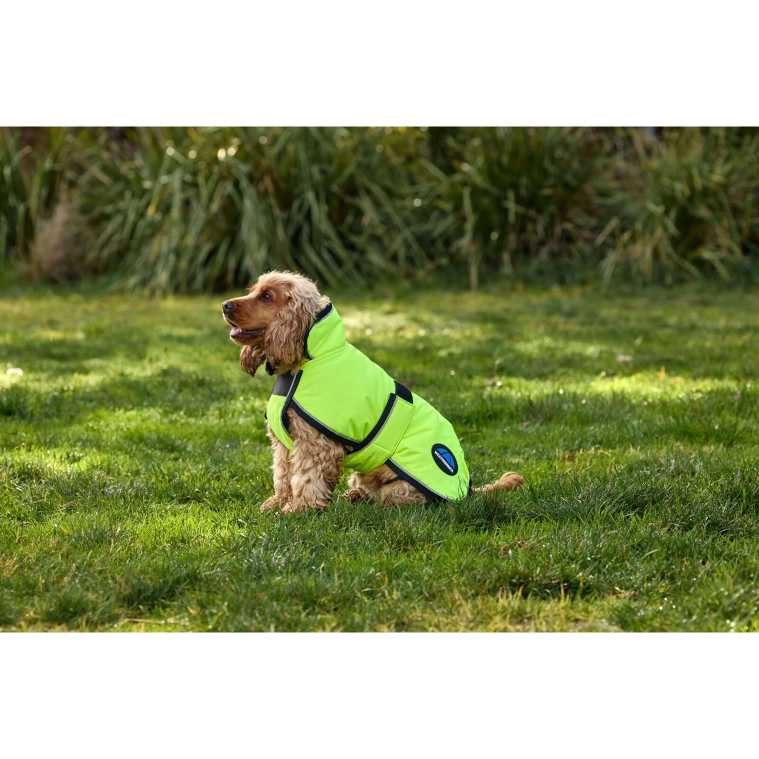 WeatherBeeta Couverture pour Chien ComFiTec Reflective 300D Deluxe Showerproof Jaune - Image 7